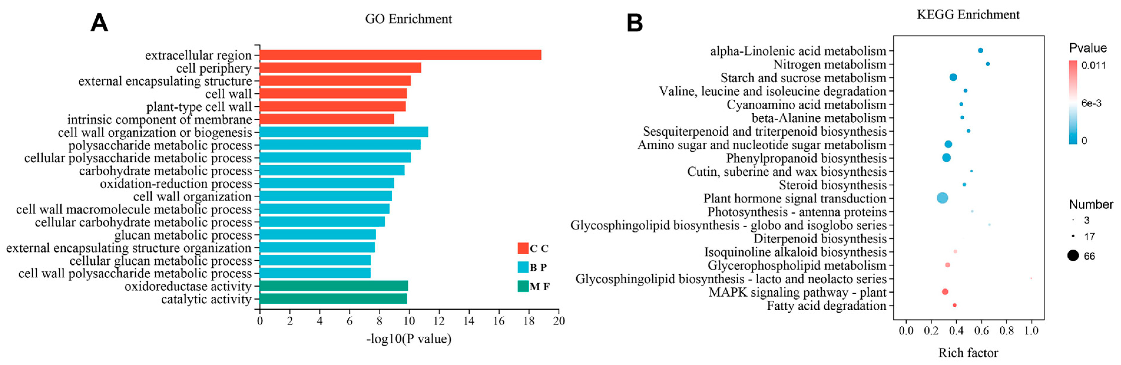 Agronomy 14 00301 g003
