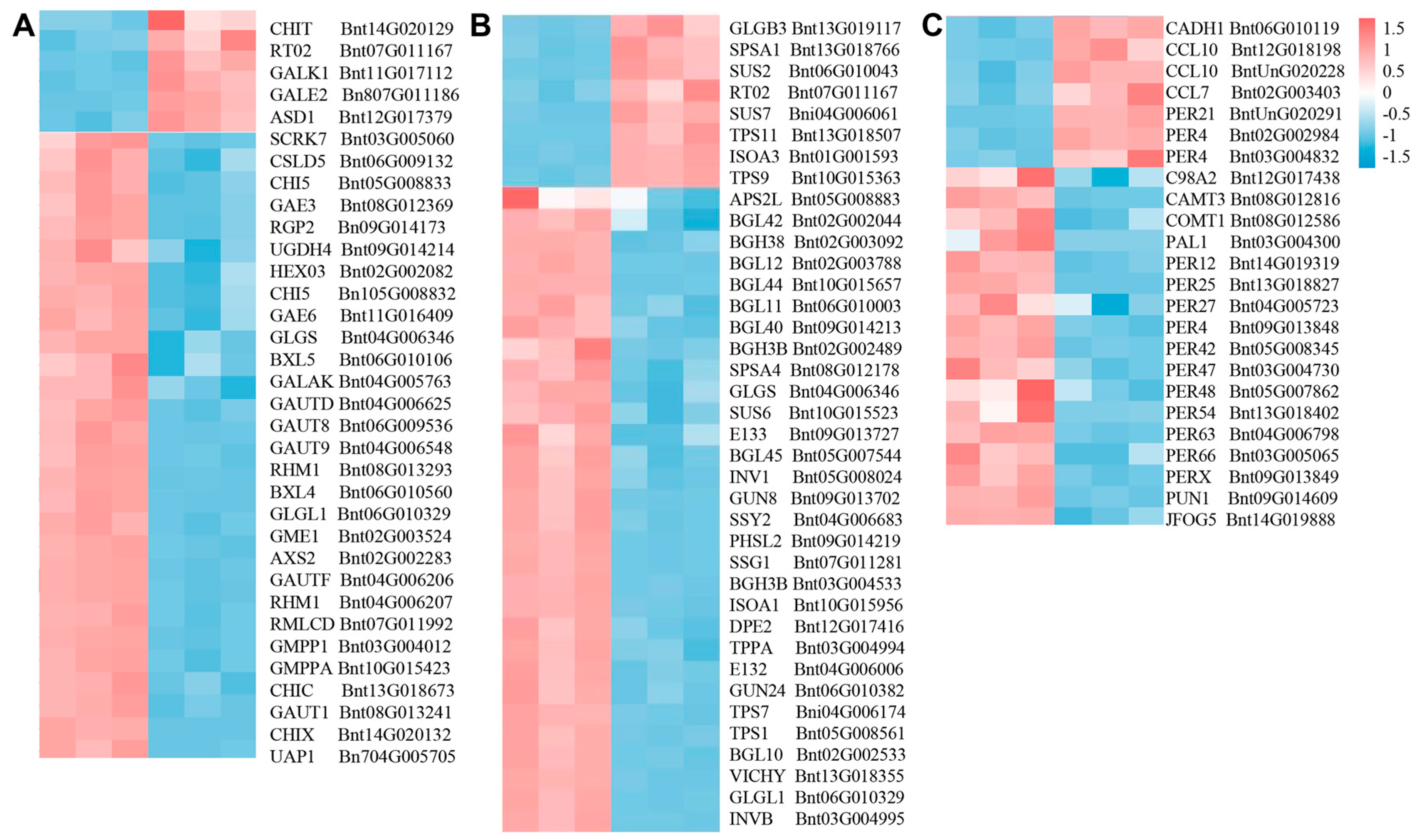 Agronomy 14 00301 g004