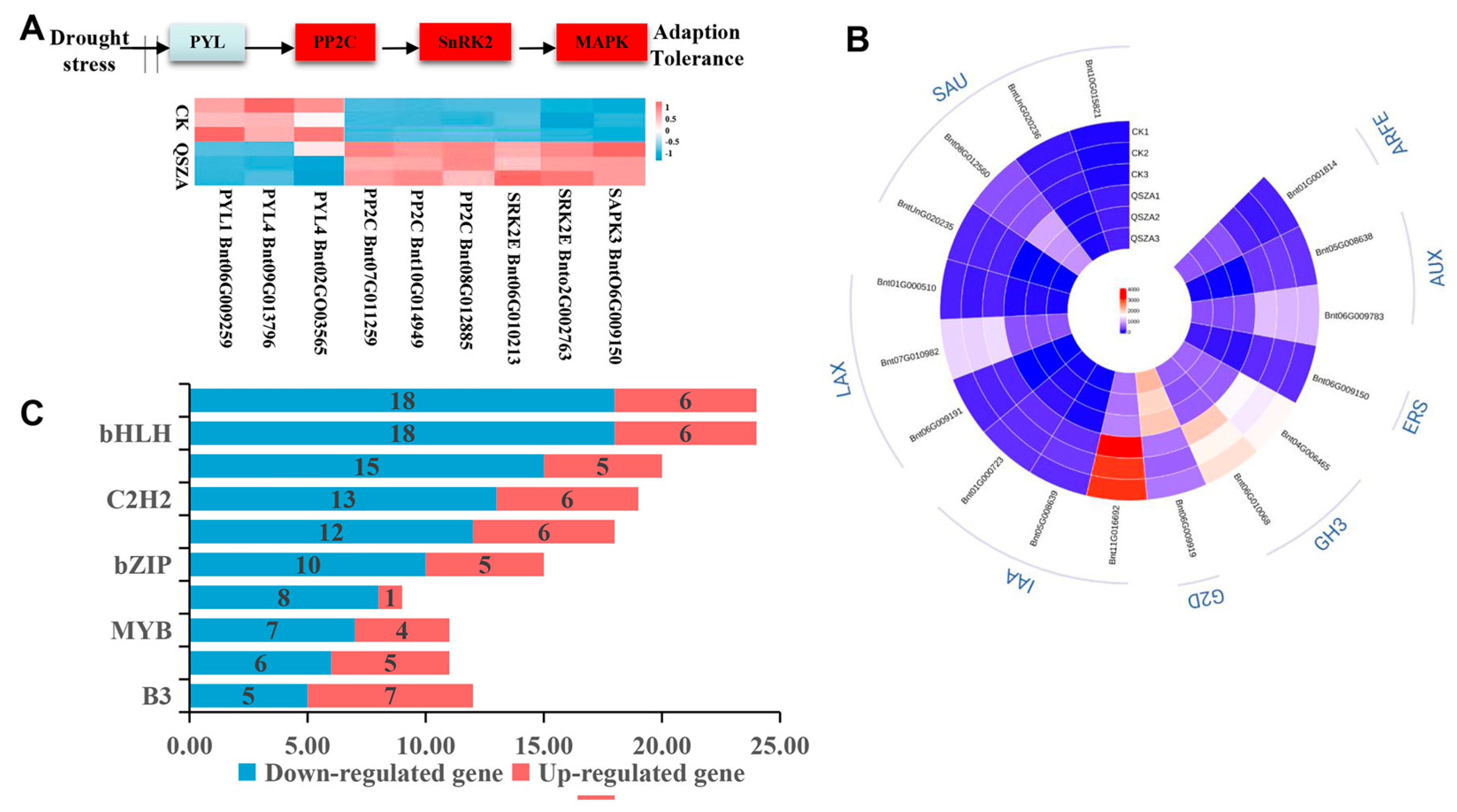 Agronomy 14 00301 g005