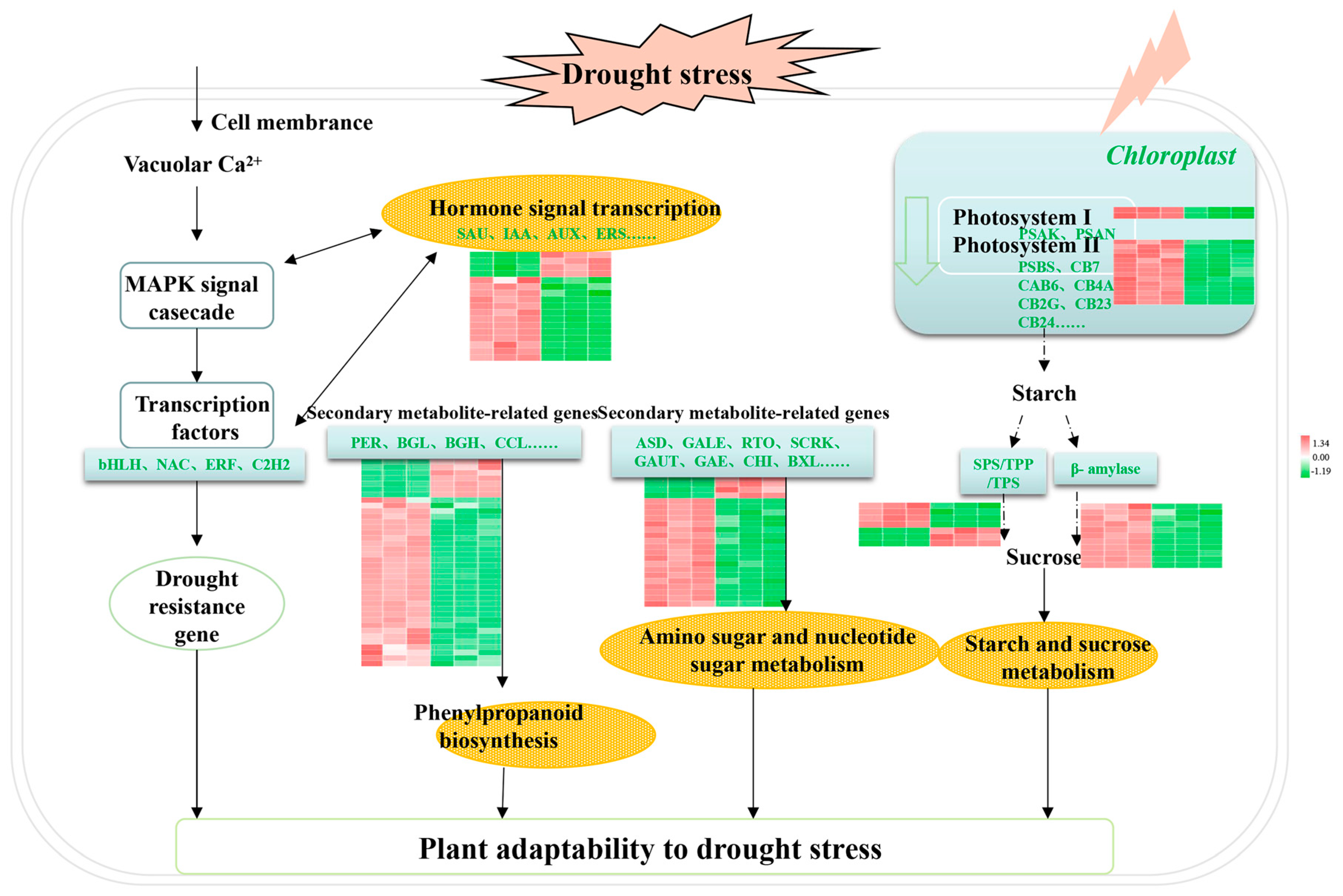 Agronomy 14 00301 g007