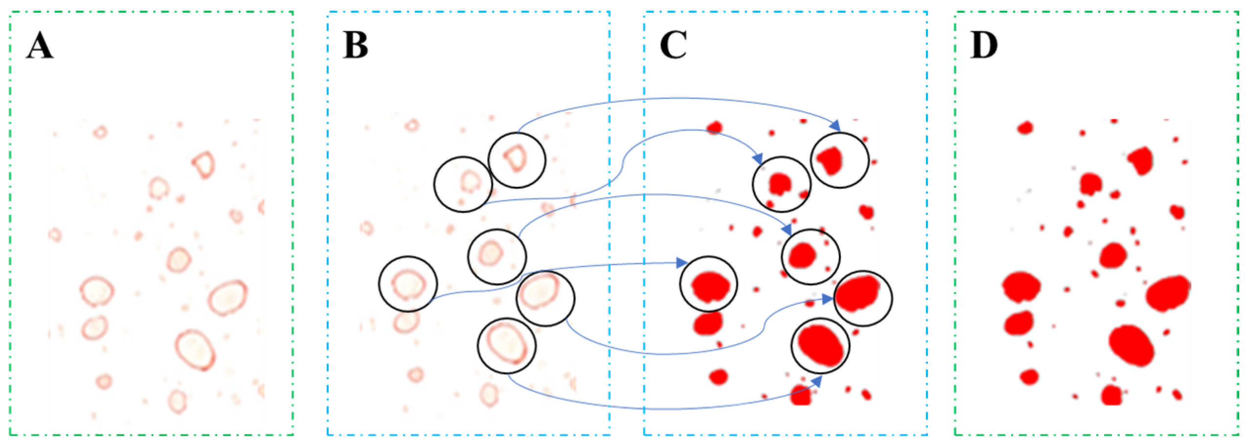 Agronomy 14 00305 g002
