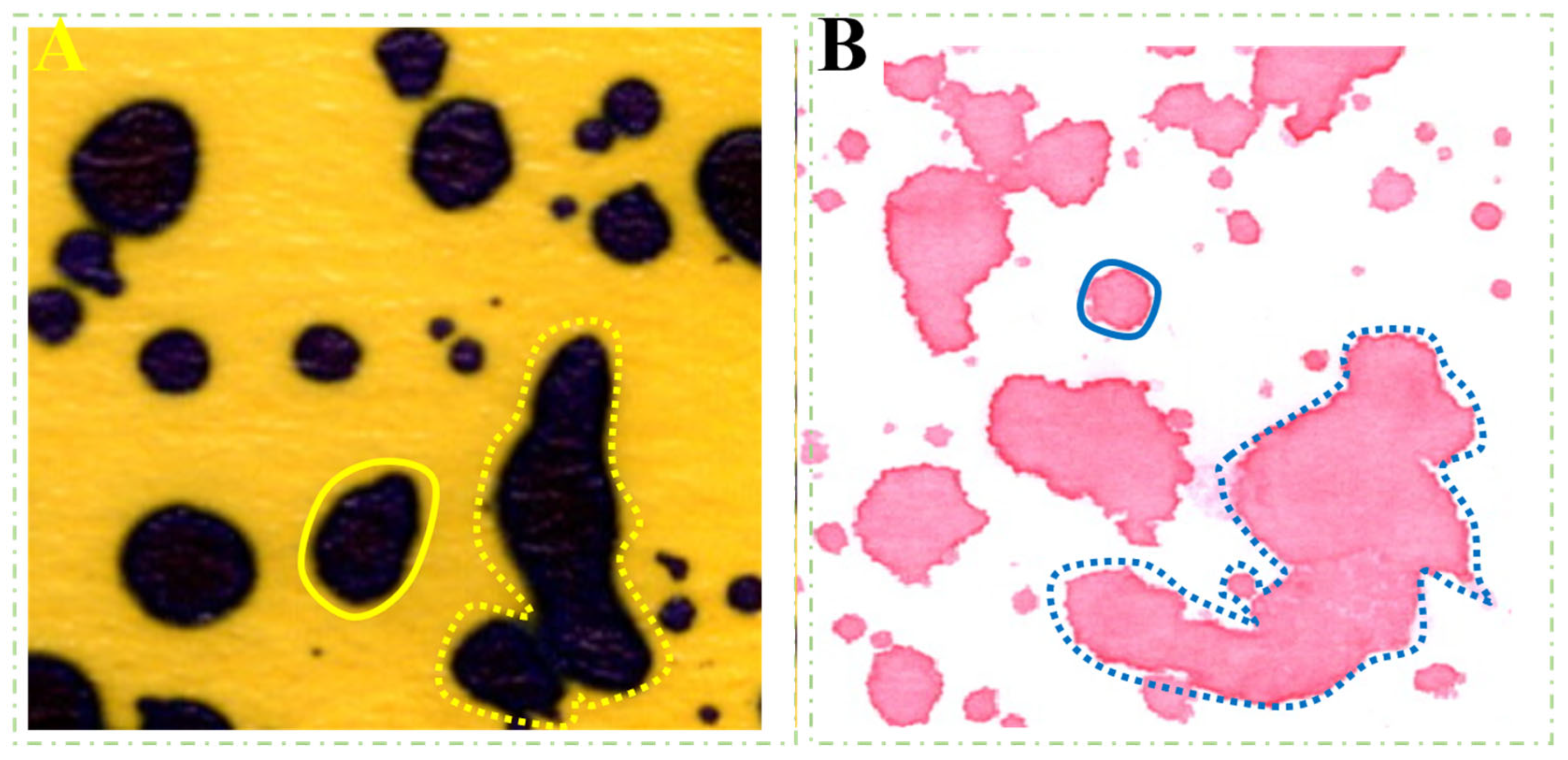 Agronomy 14 00305 g006