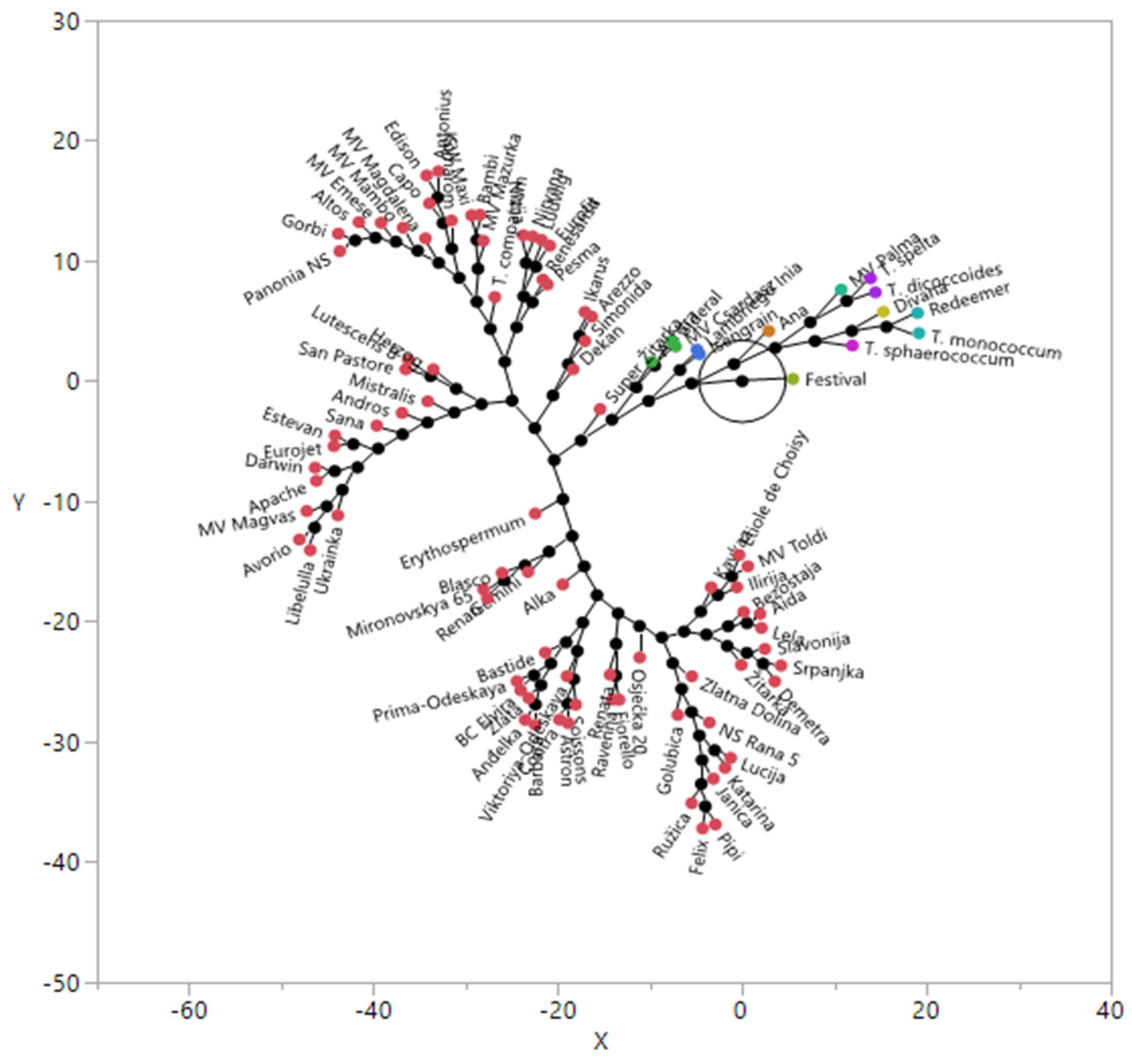 Agronomy 14 00311 g002