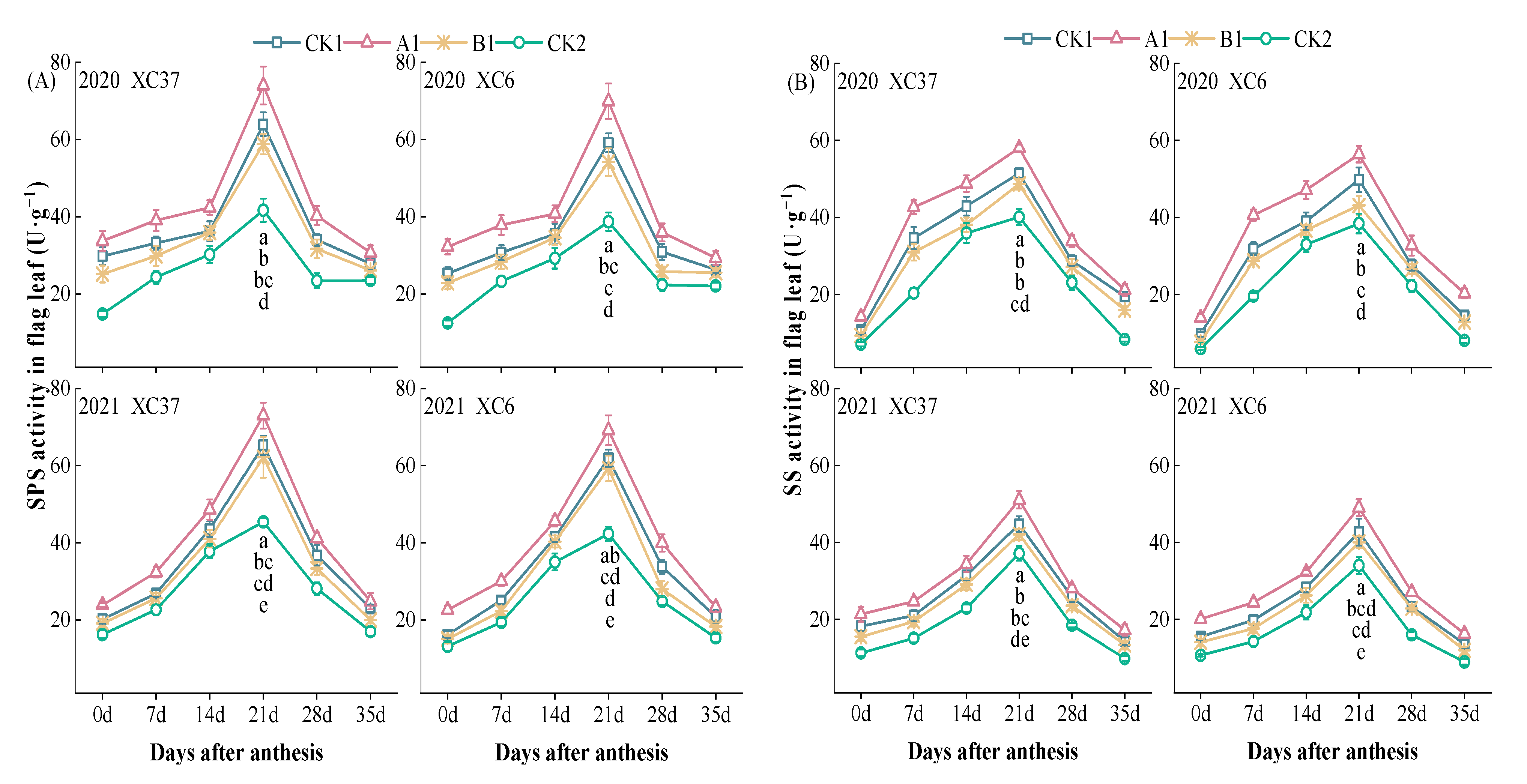 Agronomy 14 00312 g003
