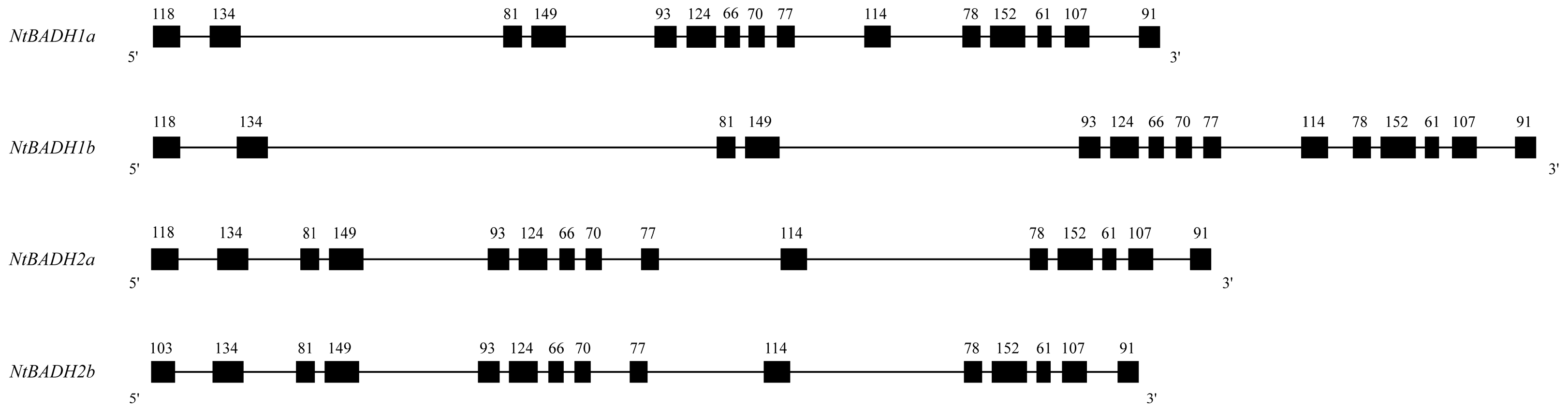 Agronomy 14 00321 g001