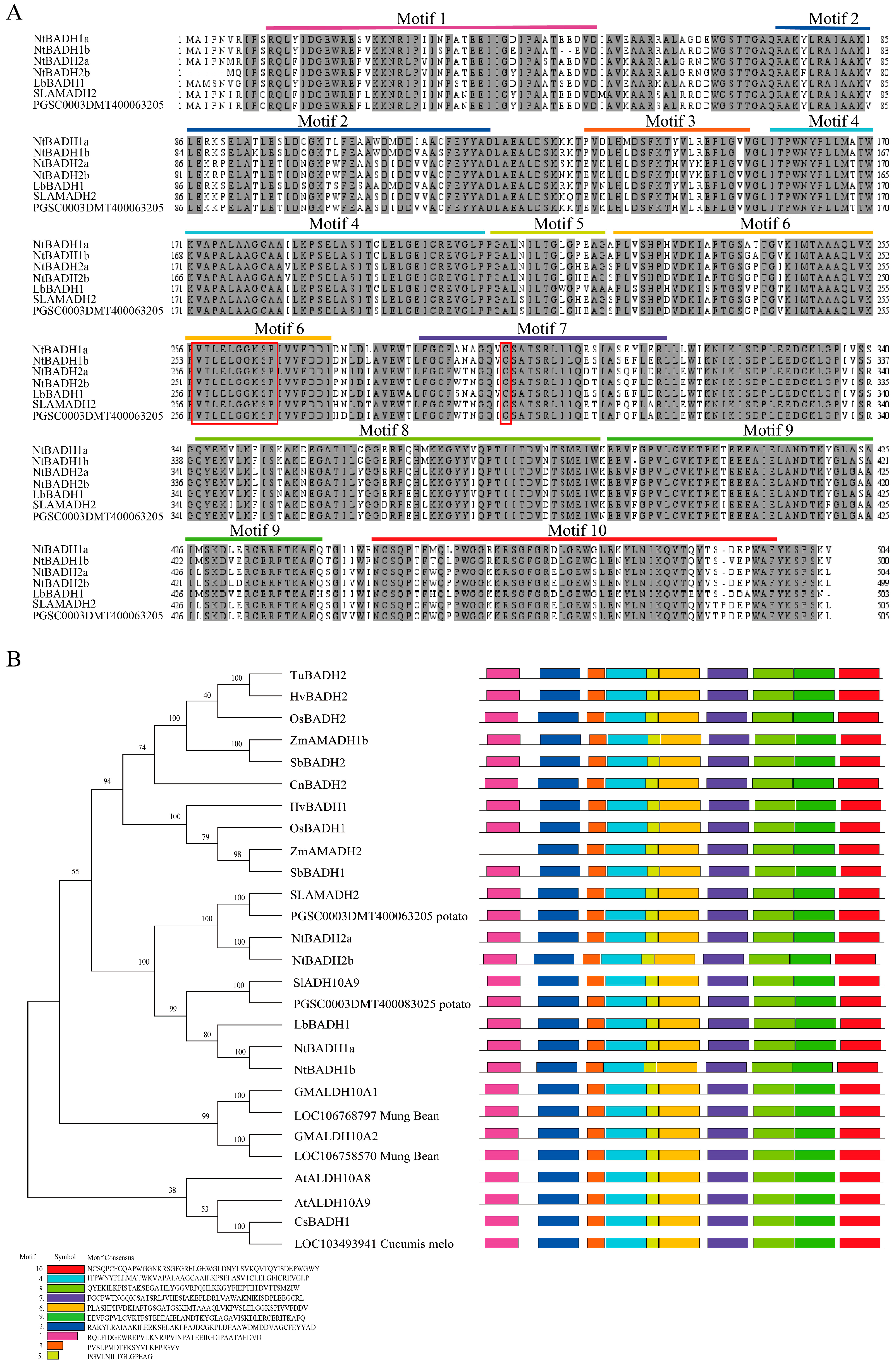 Agronomy 14 00321 g002