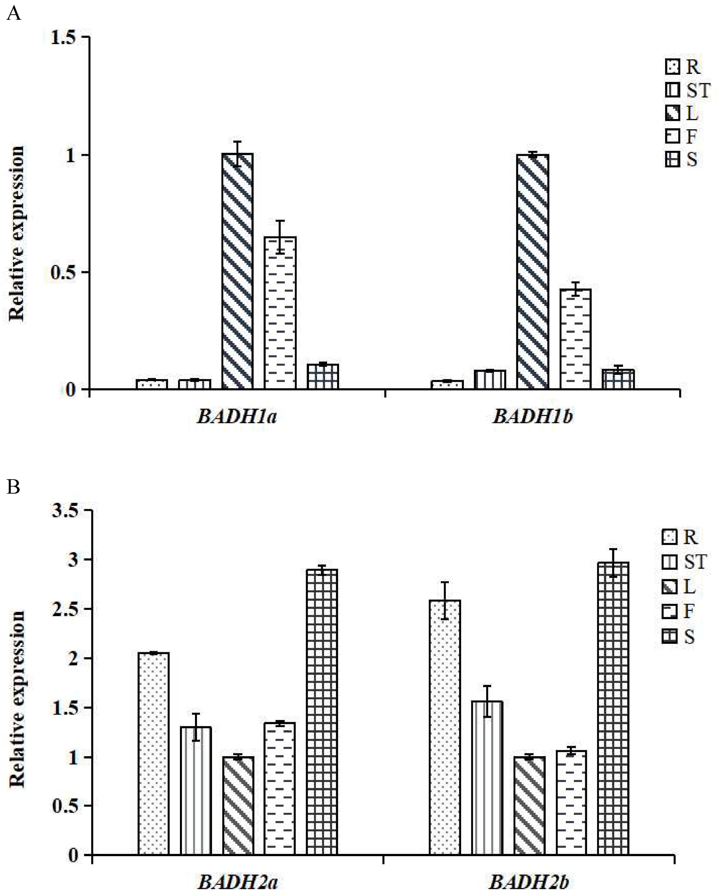 Agronomy 14 00321 g003