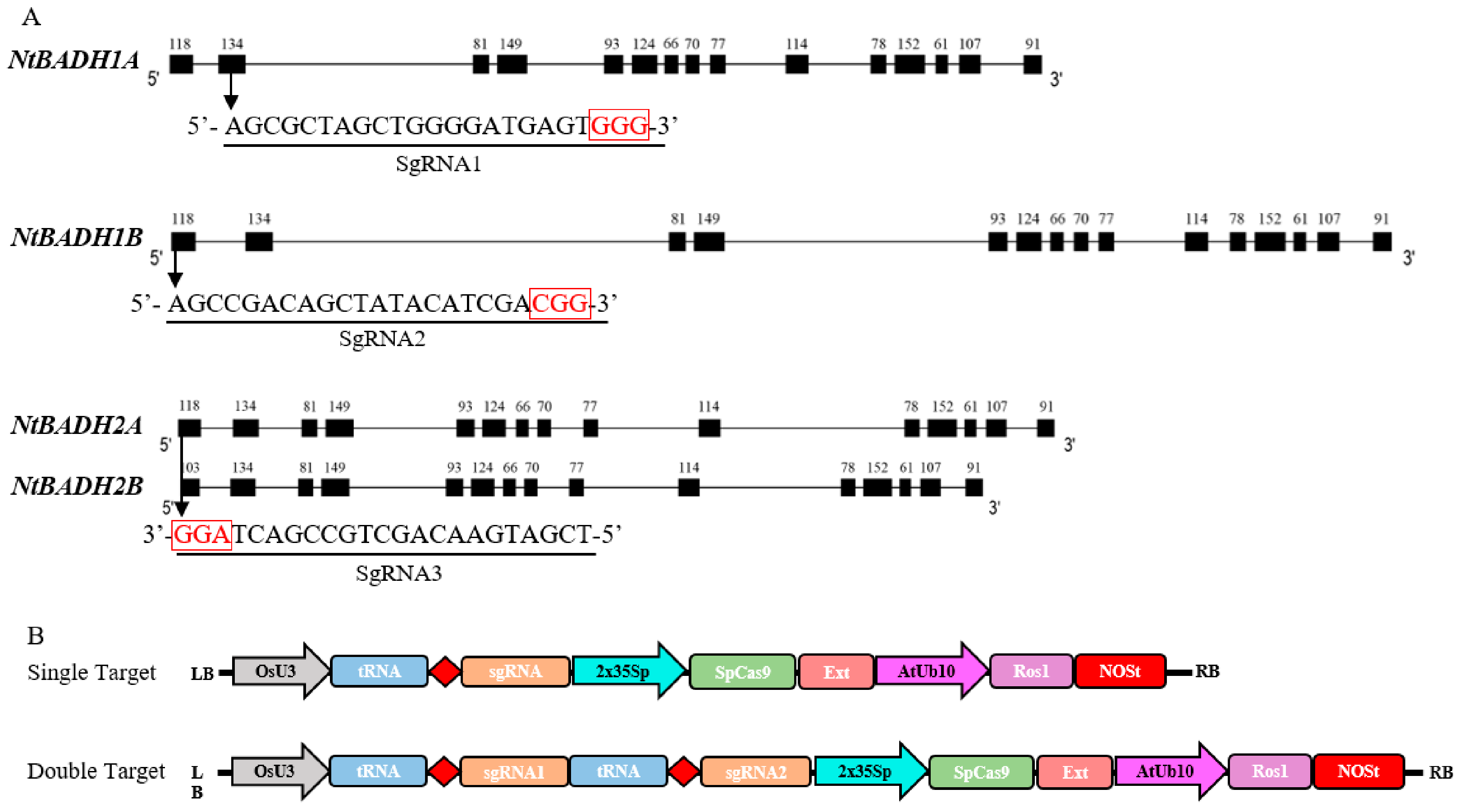 Agronomy 14 00321 g004