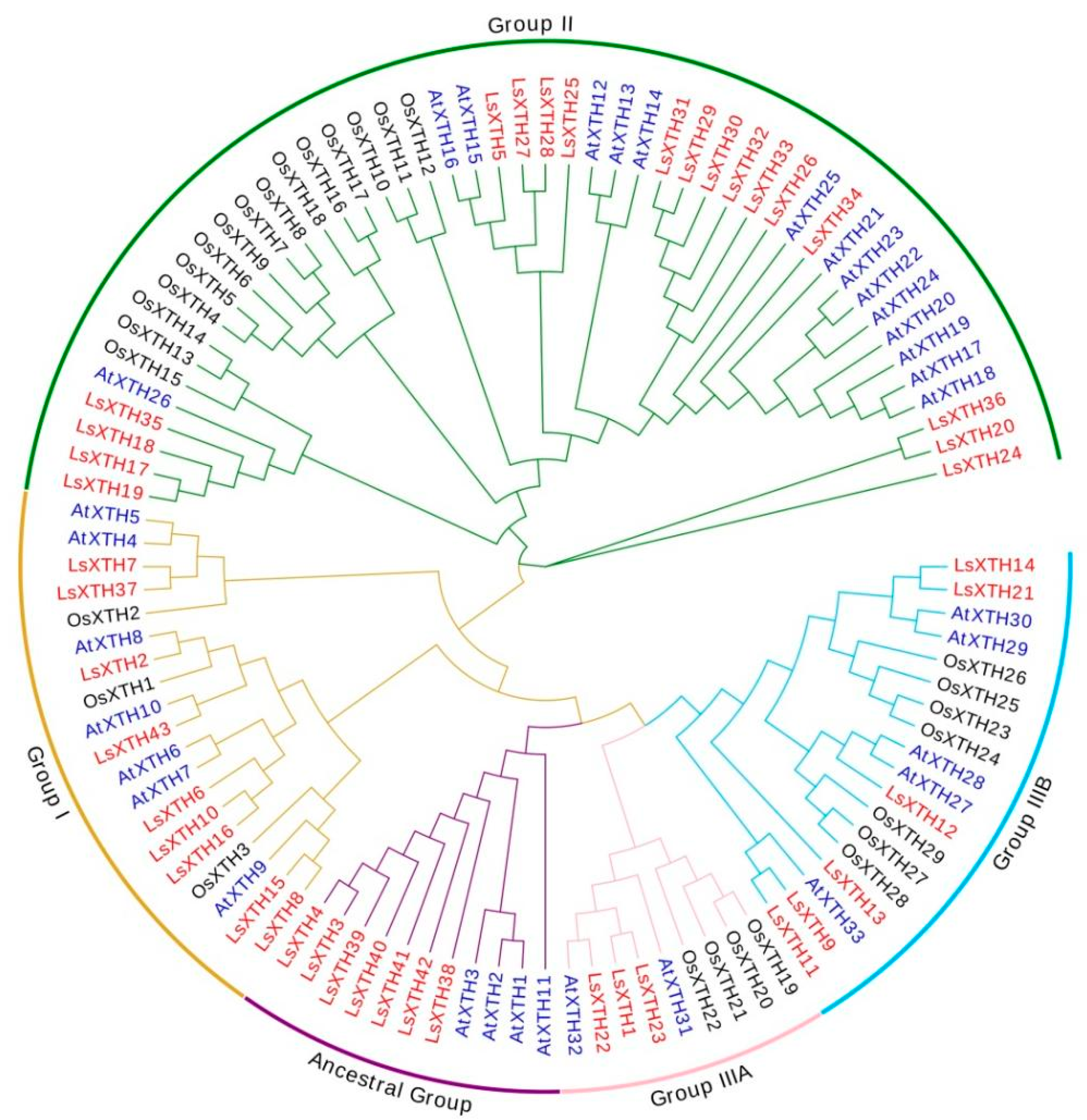 Agronomy 14 00324 g001