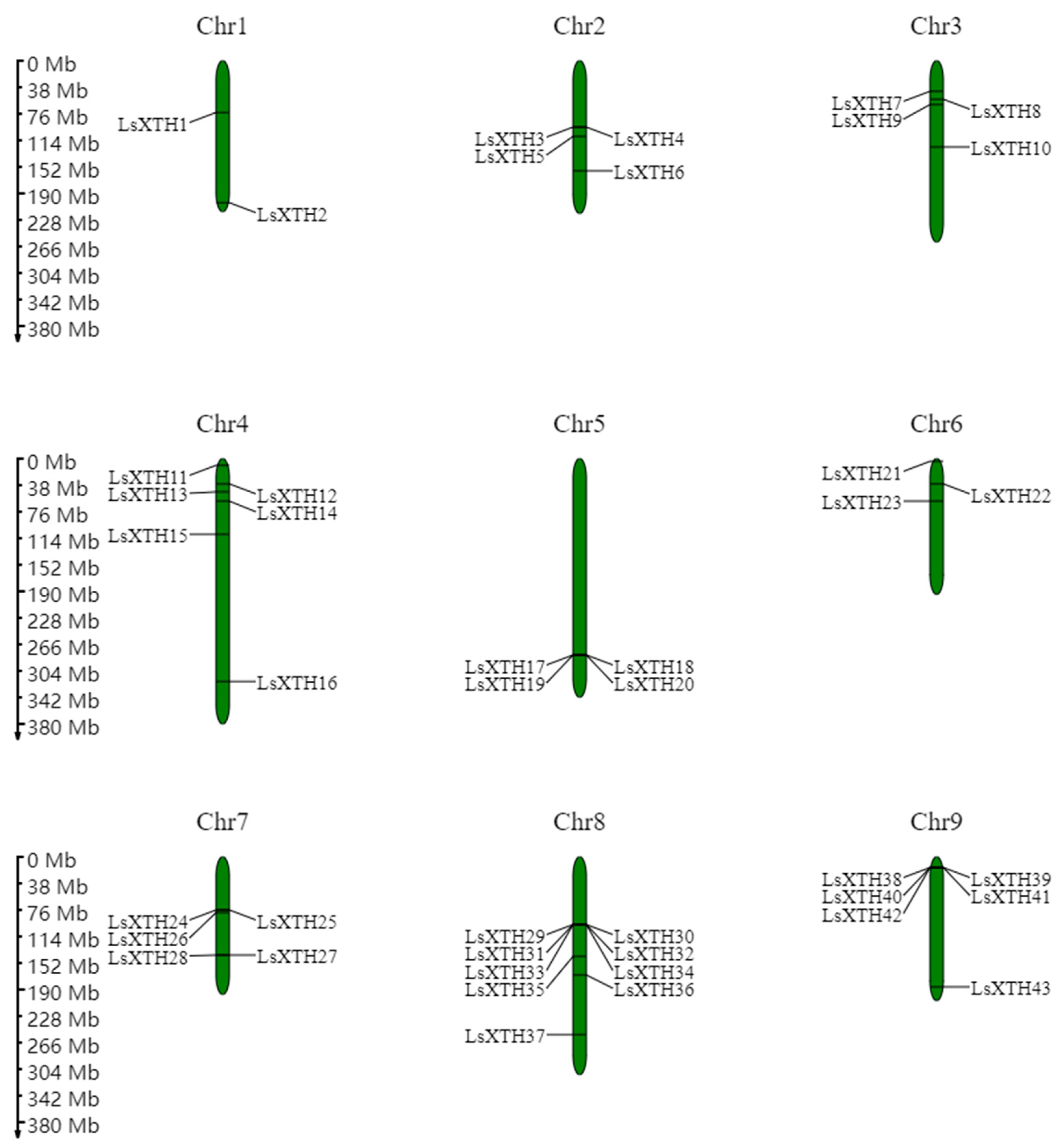 Agronomy 14 00324 g002