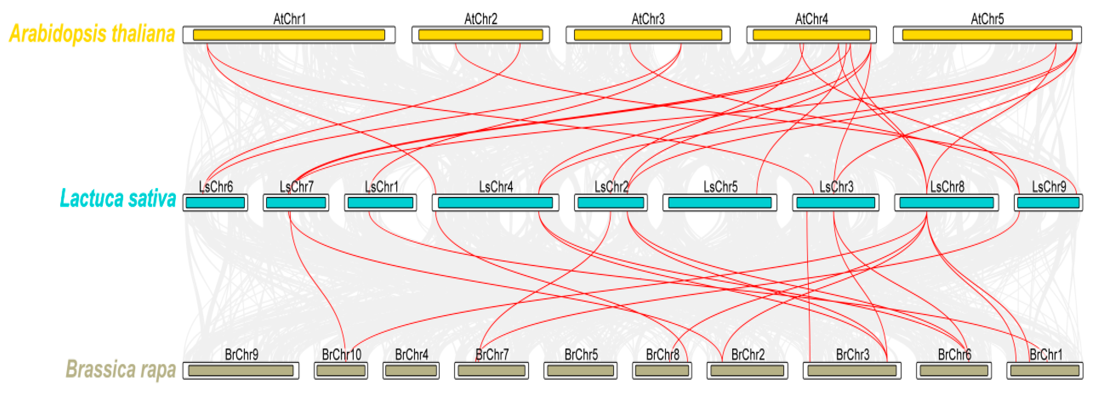 Agronomy 14 00324 g004