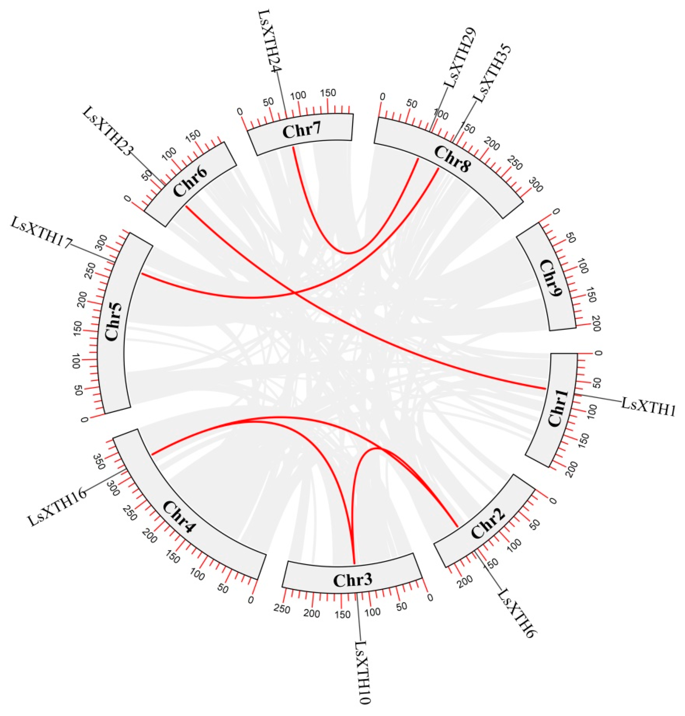 Agronomy 14 00324 g005