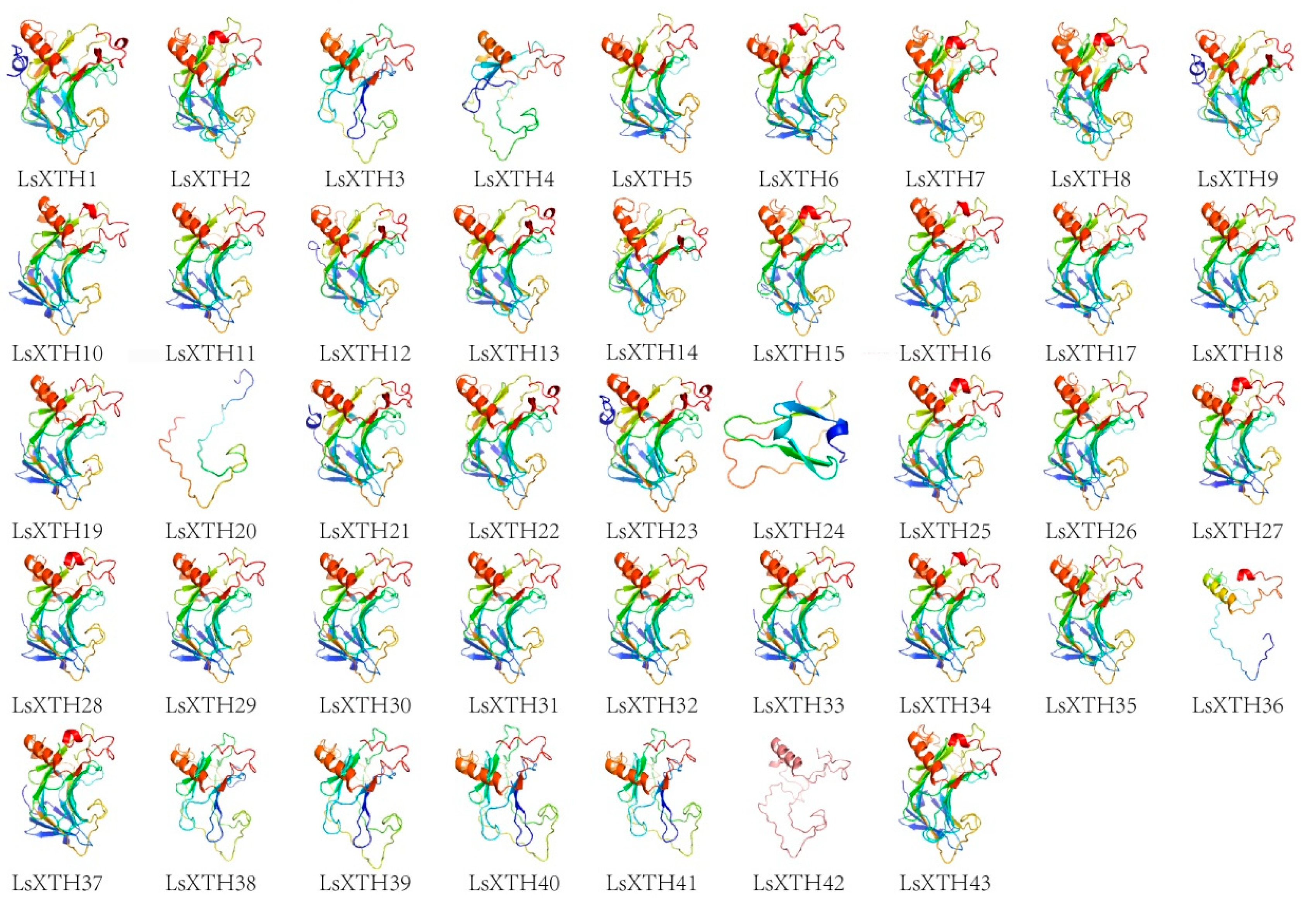 Agronomy 14 00324 g006