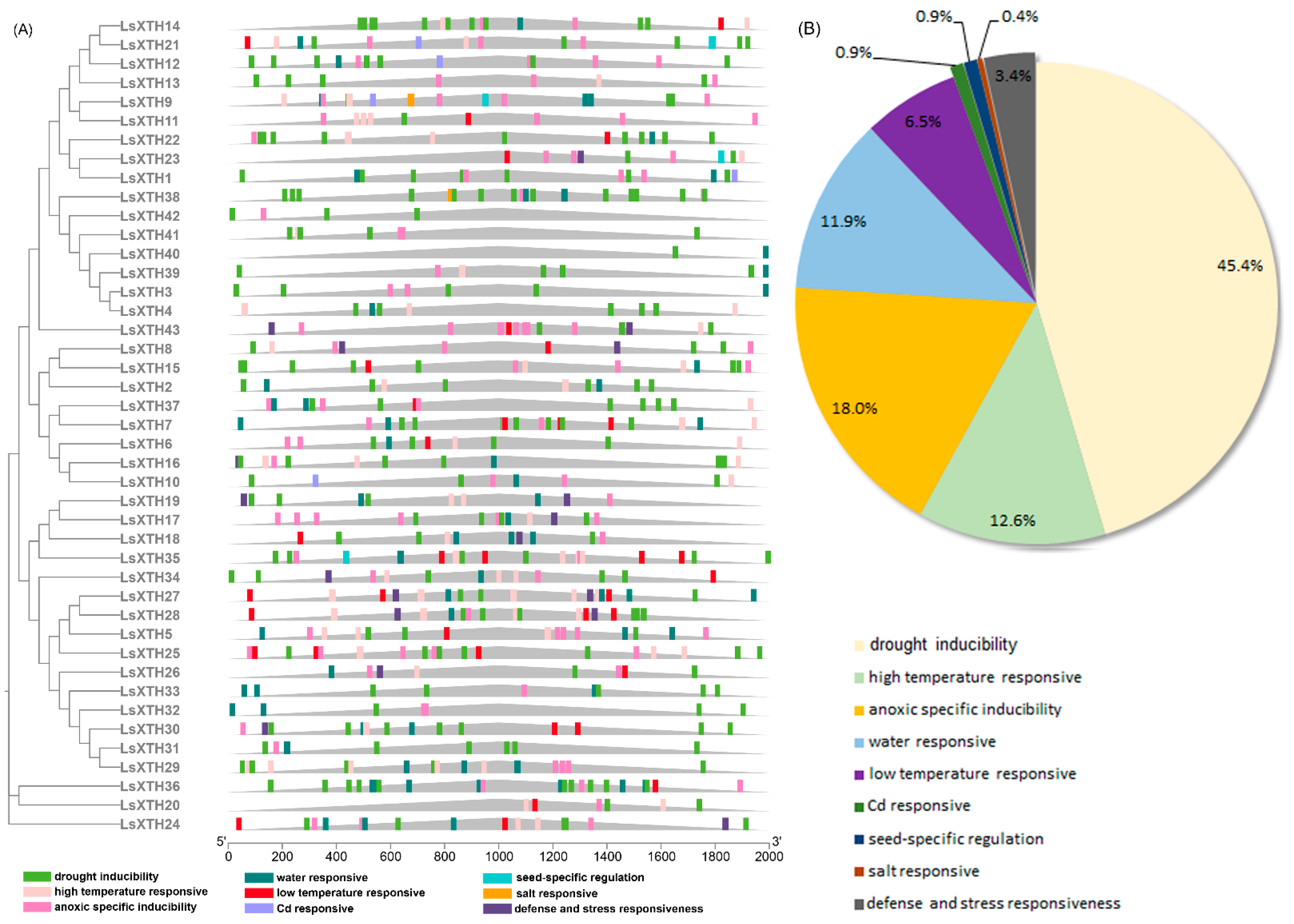 Agronomy 14 00324 g007