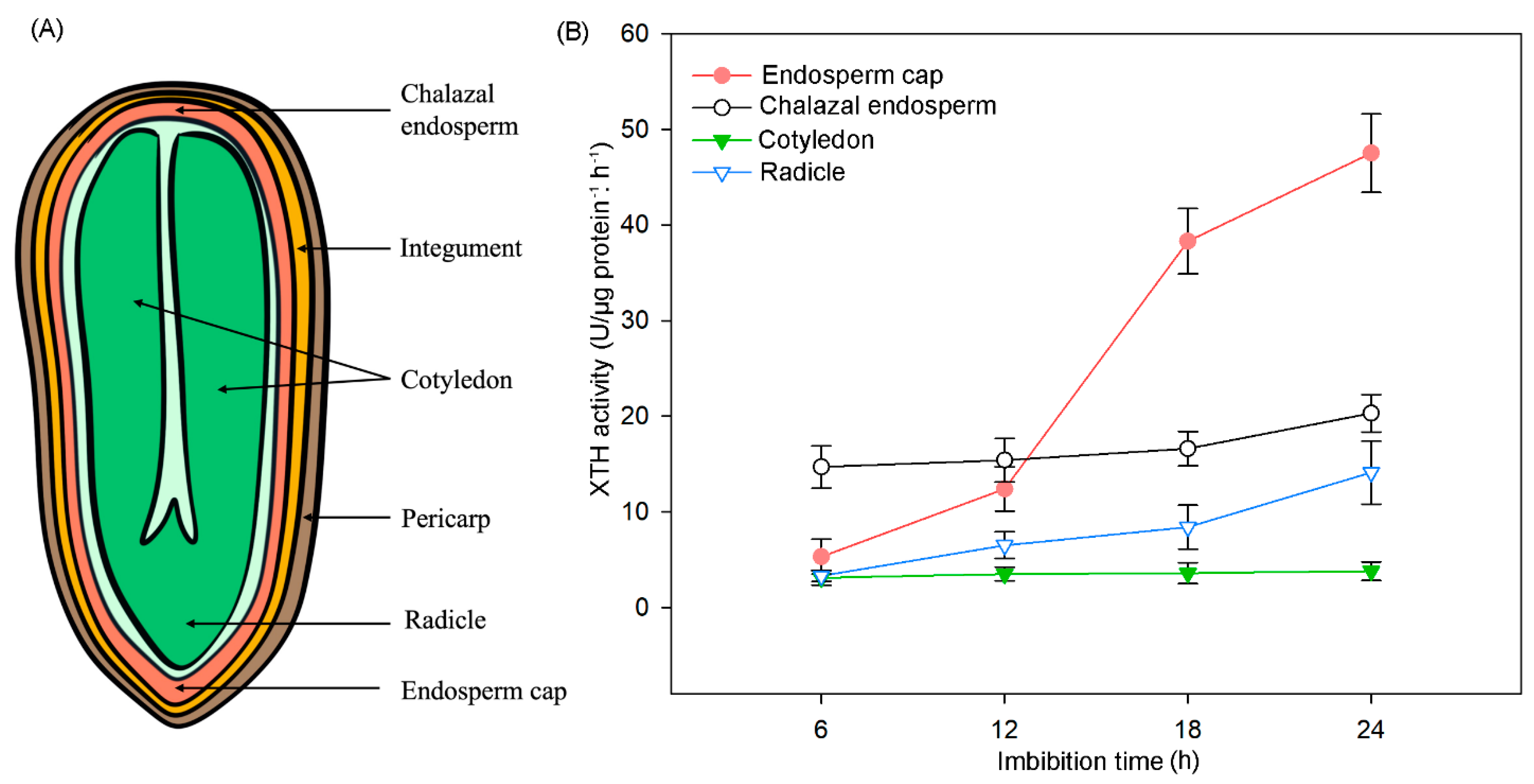Agronomy 14 00324 g008