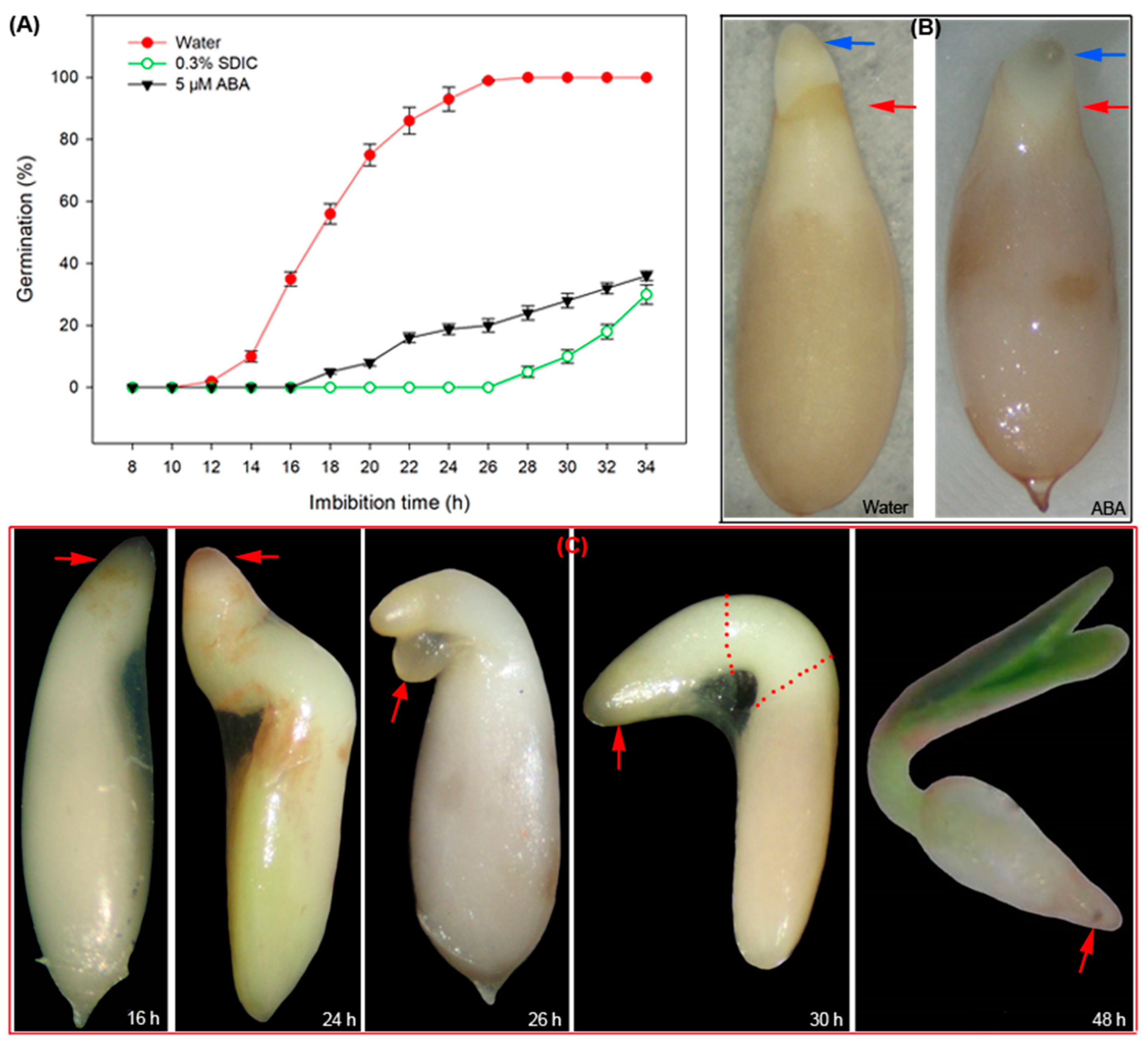 Agronomy 14 00324 g009