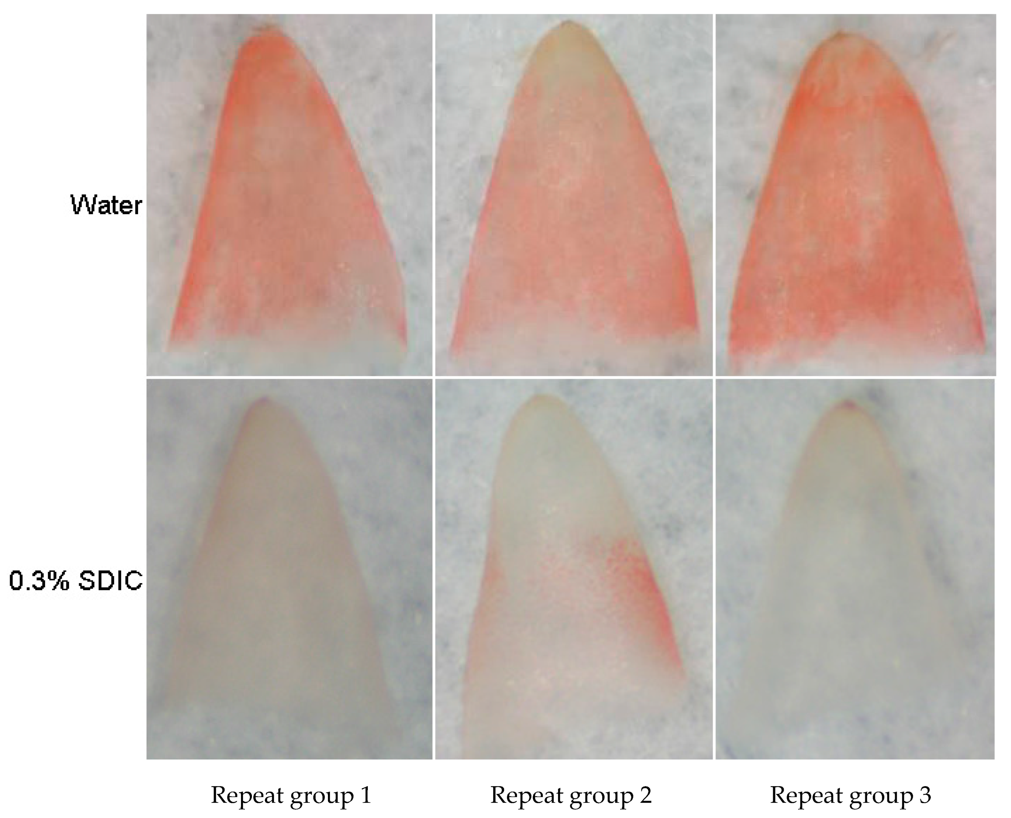 Agronomy 14 00324 g010