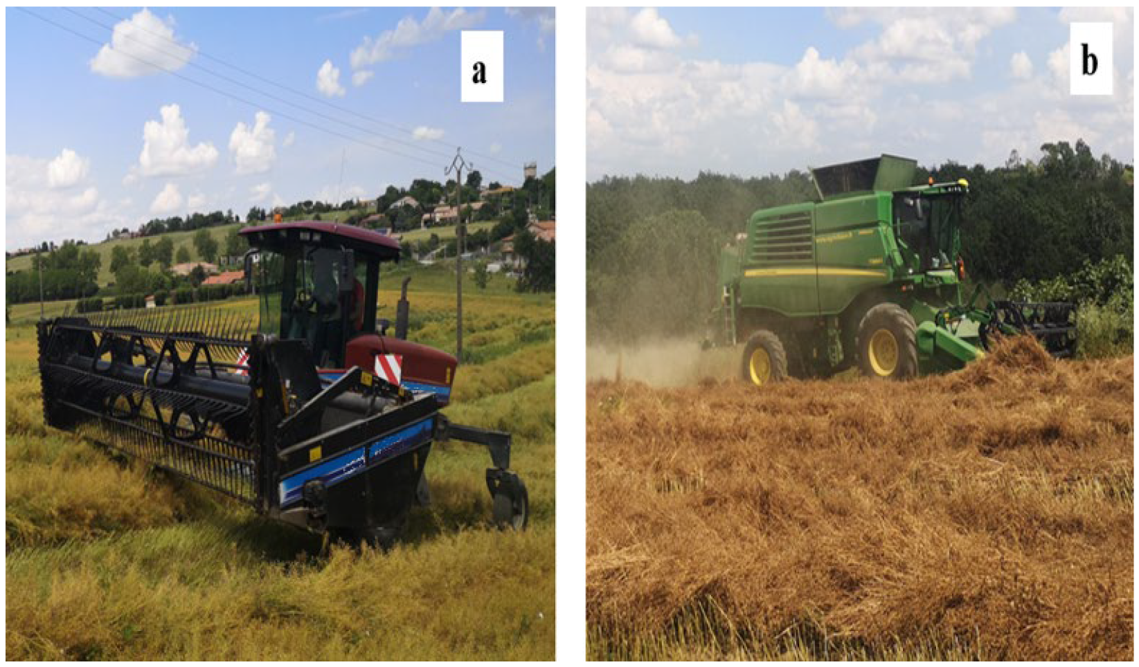 Agronomy 14 00325 g003