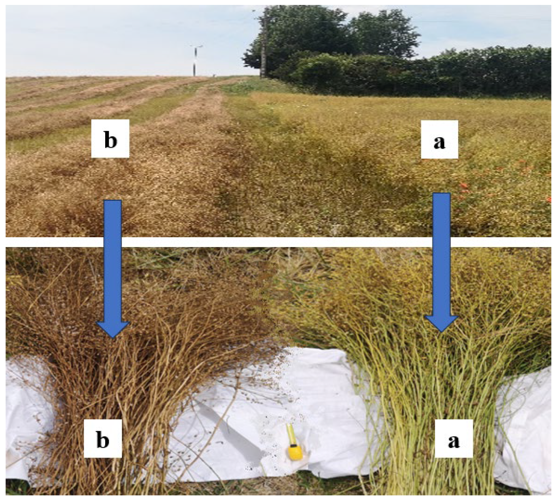 Agronomy 14 00325 g006