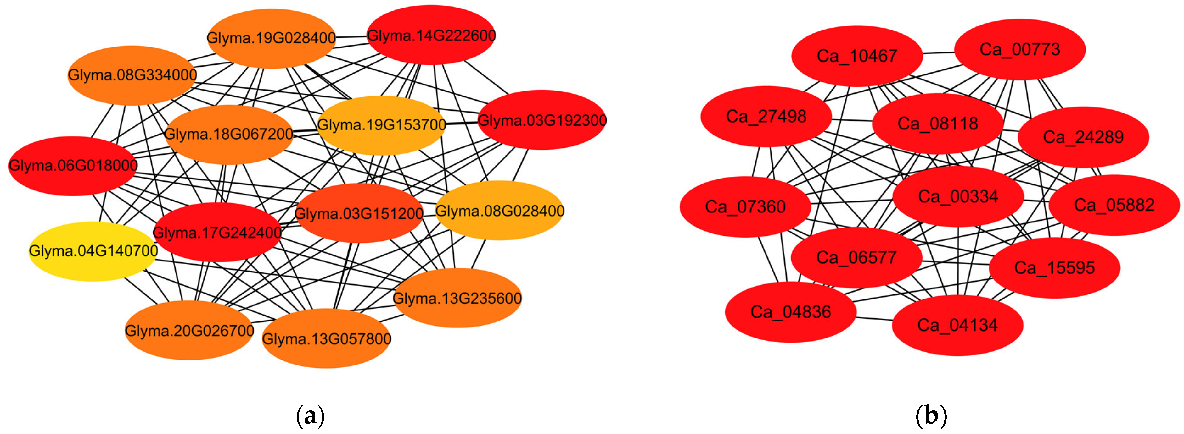 Agronomy 14 00328 g002
