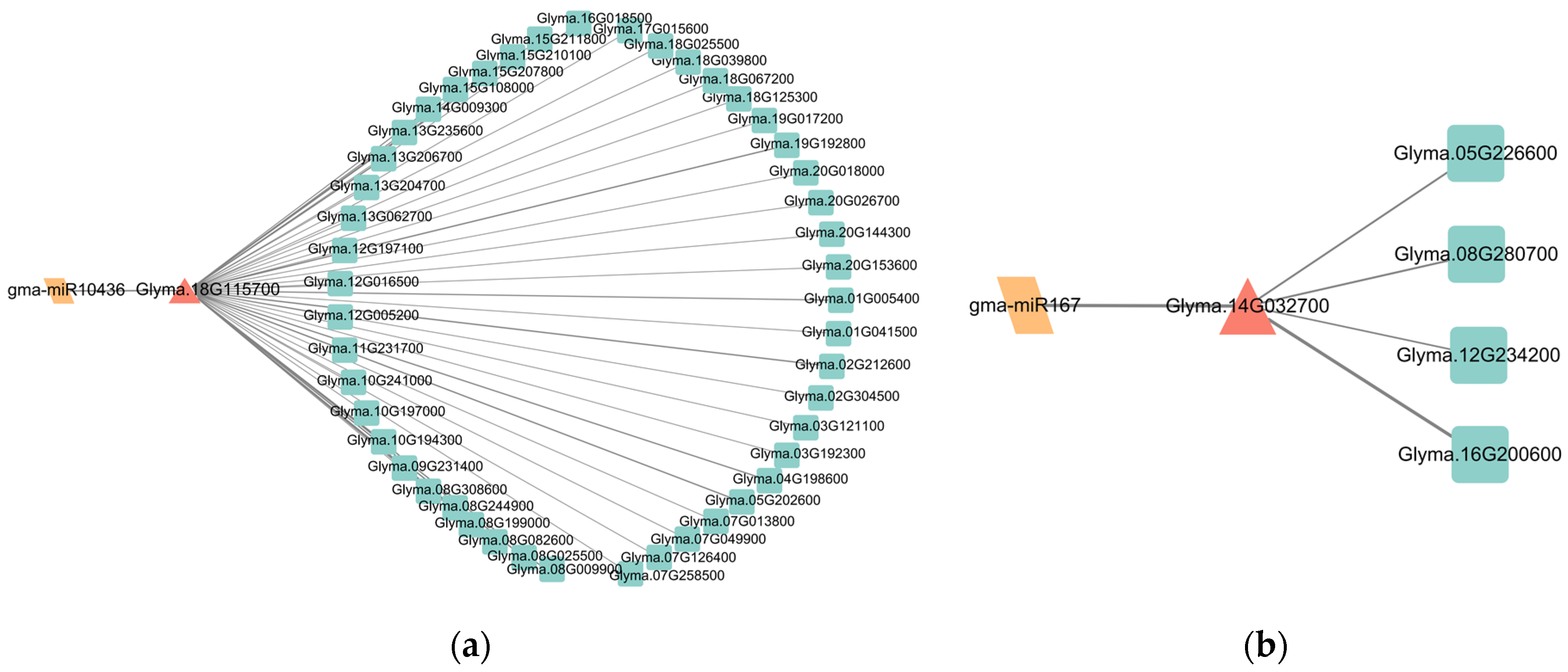 Agronomy 14 00328 g004