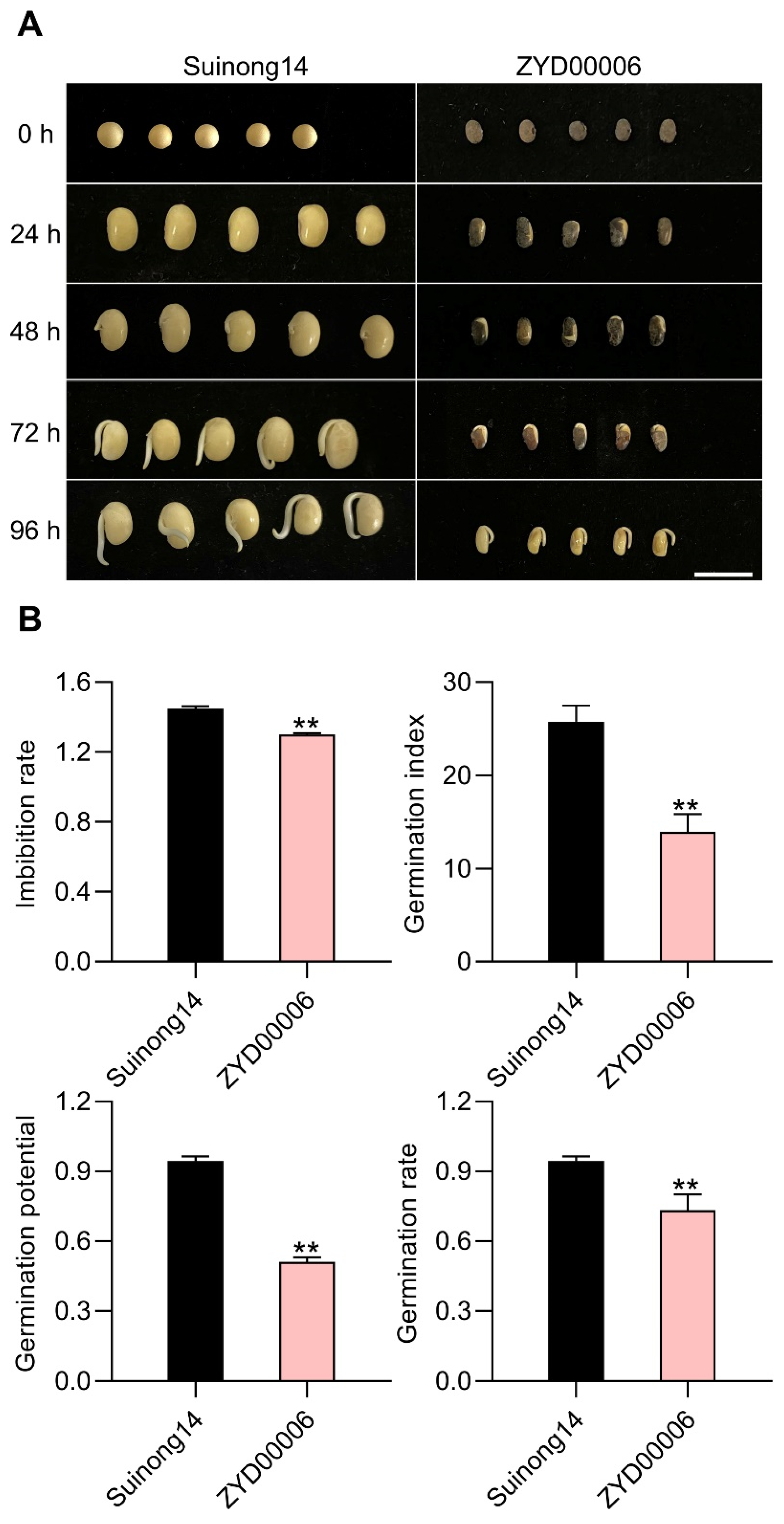 Agronomy 14 00332 g001
