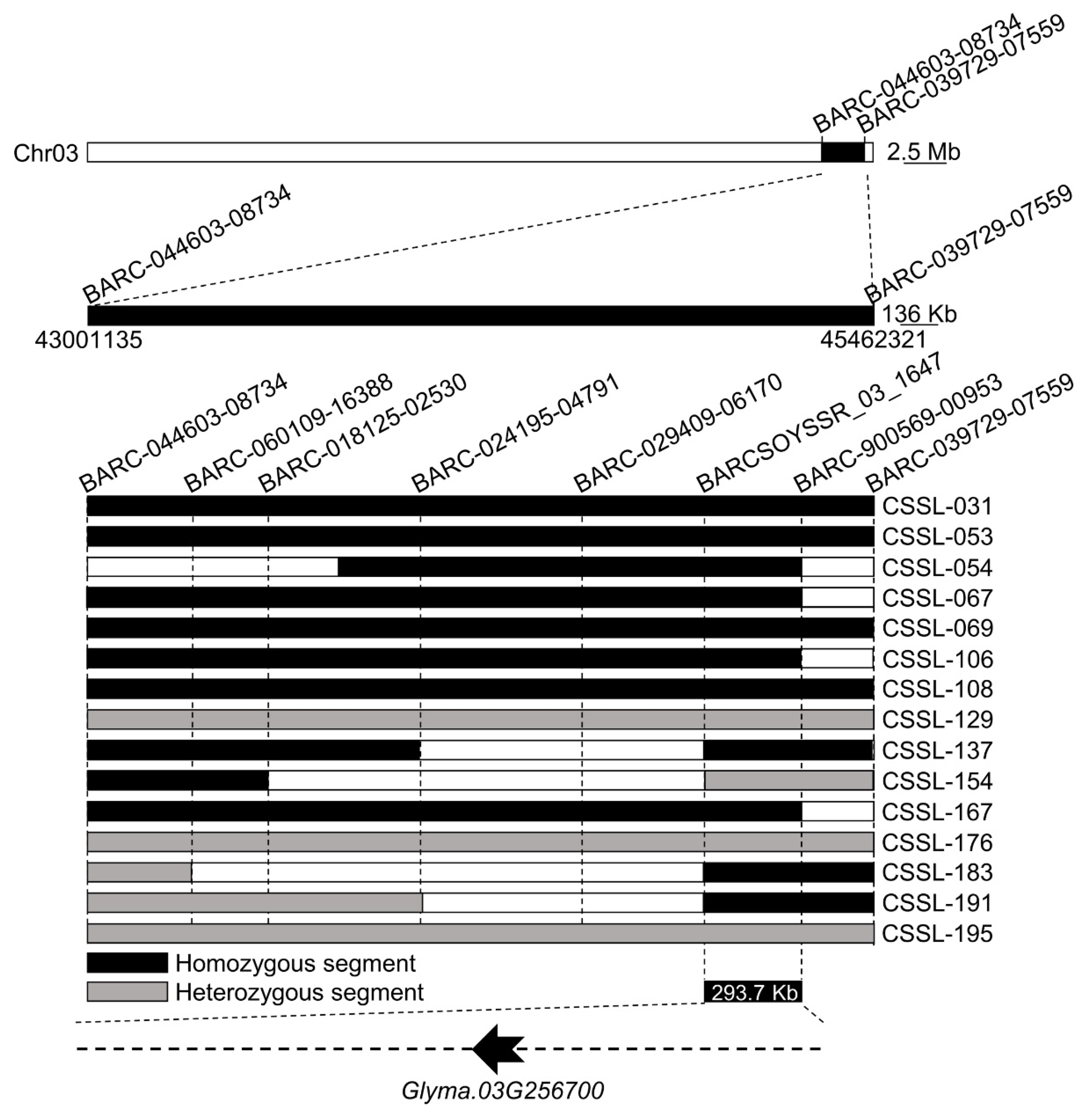 Agronomy 14 00332 g002