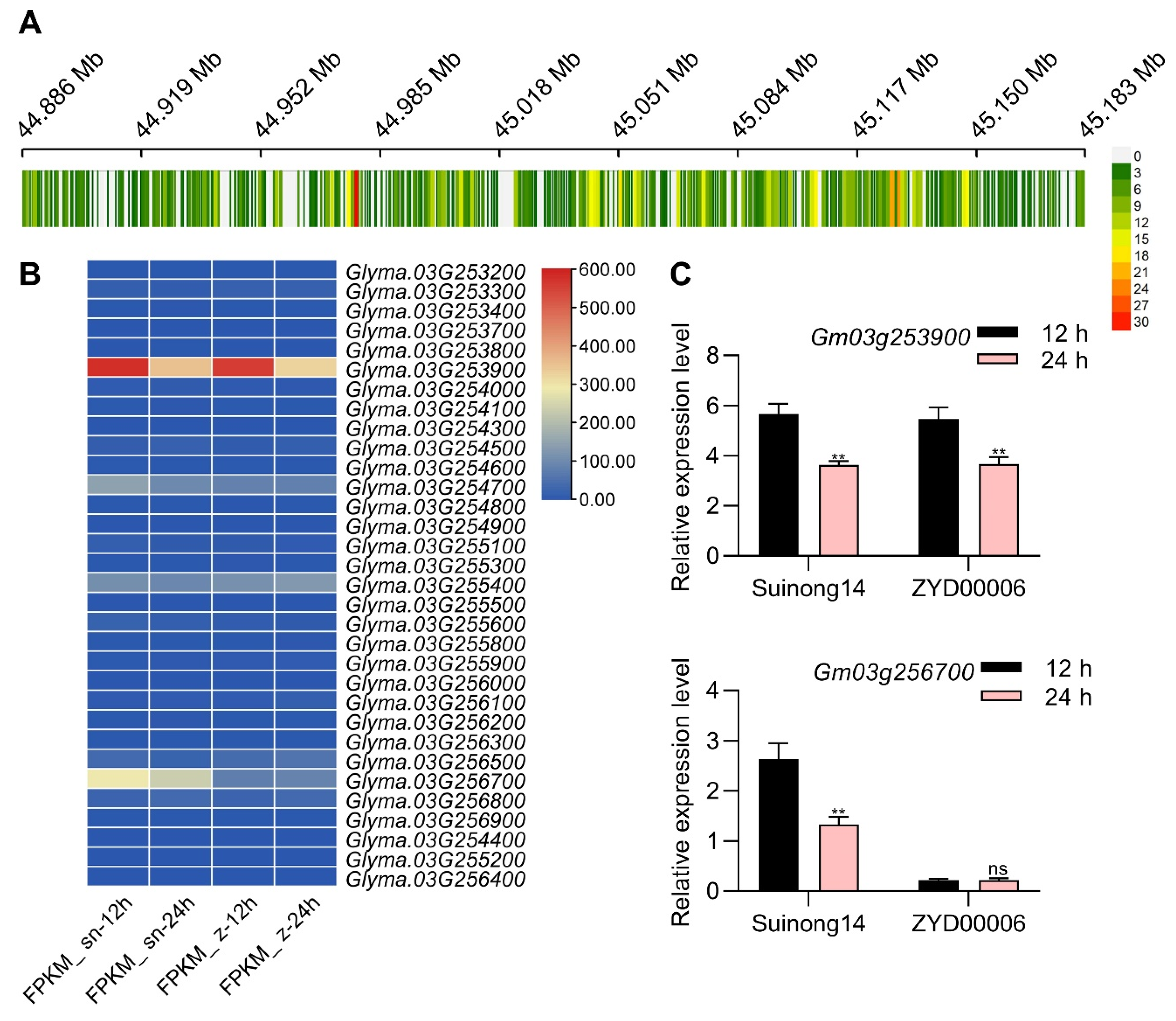 Agronomy 14 00332 g004