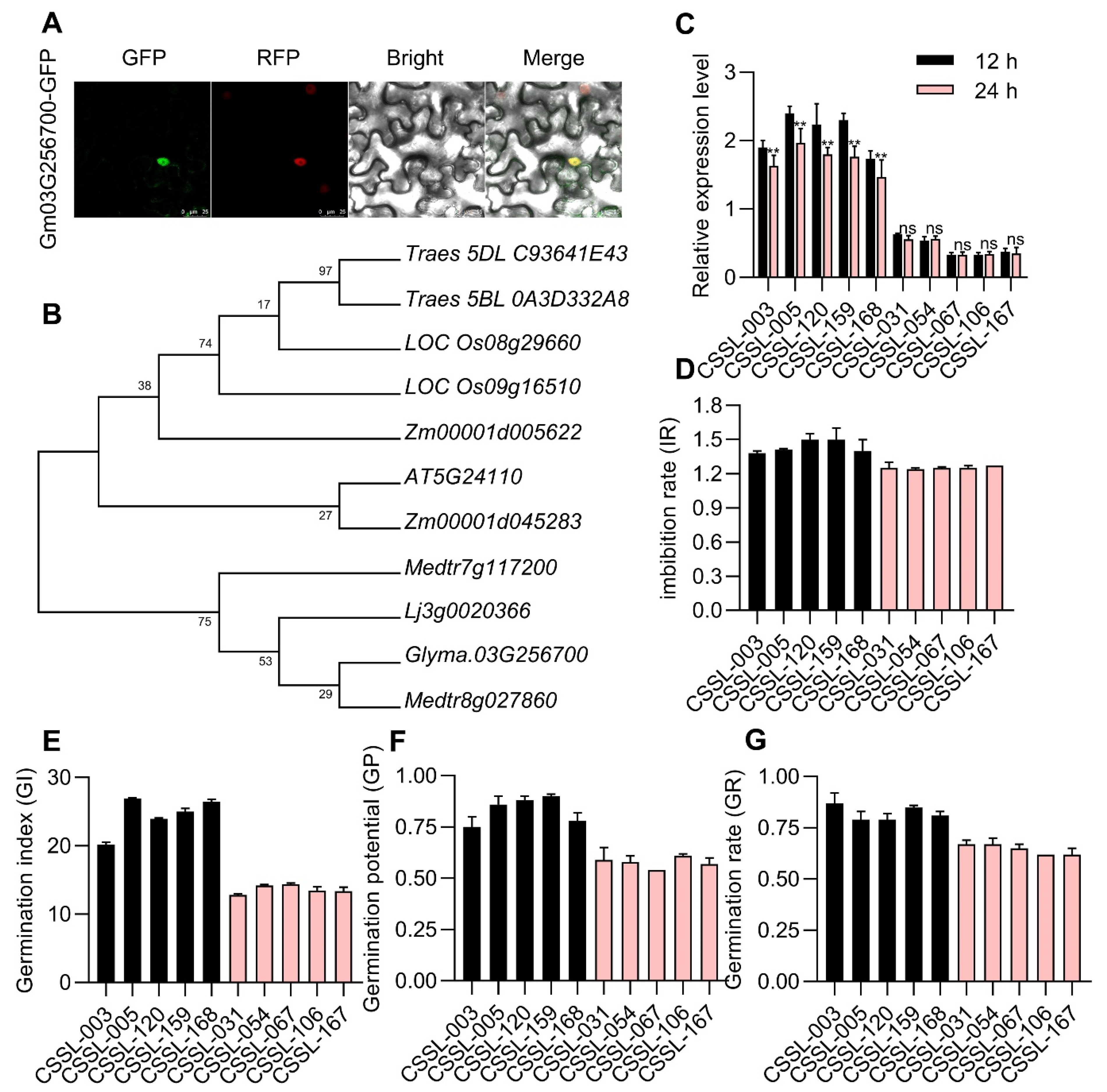 Agronomy 14 00332 g005