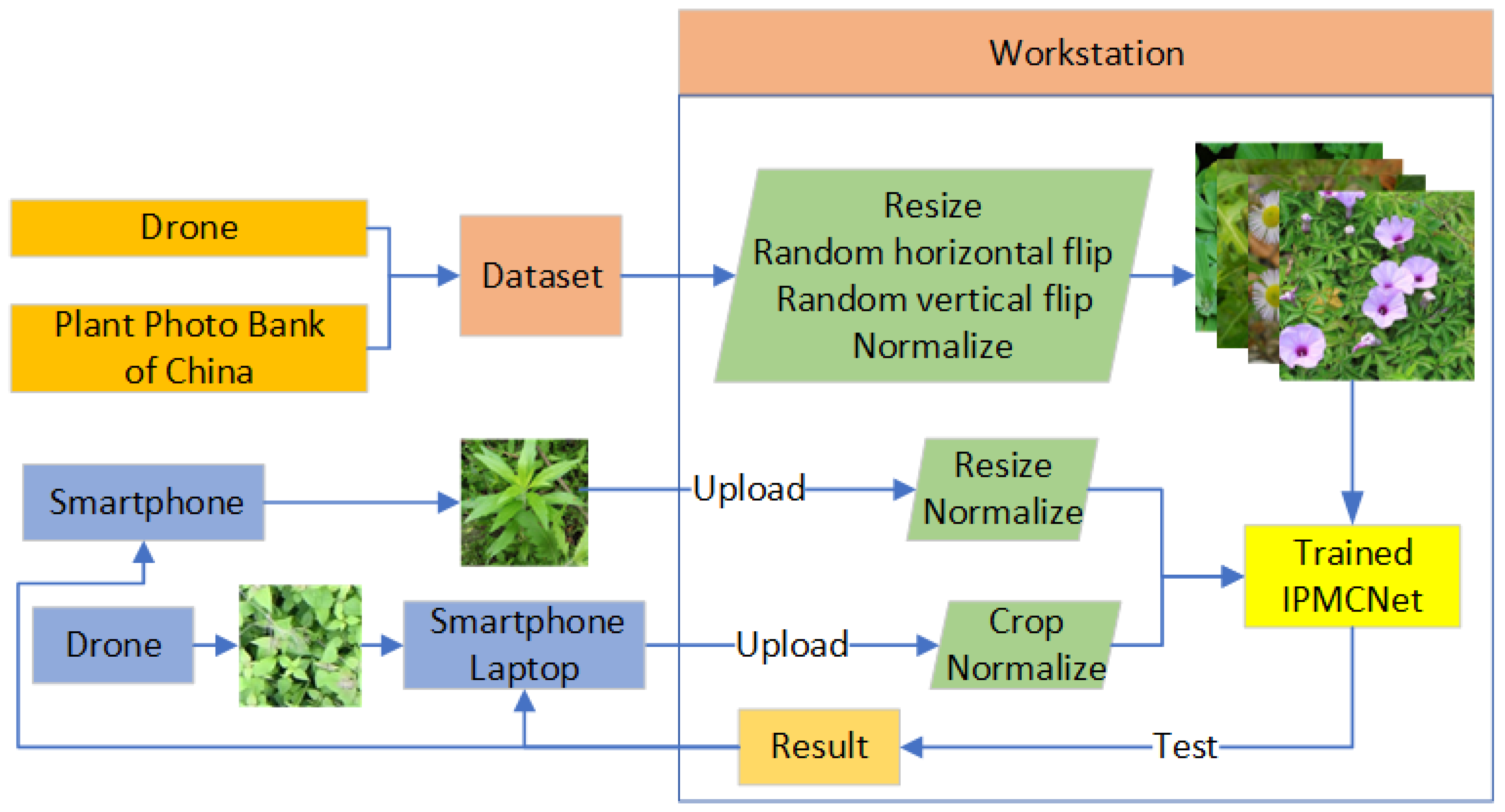 Agronomy 14 00333 g004