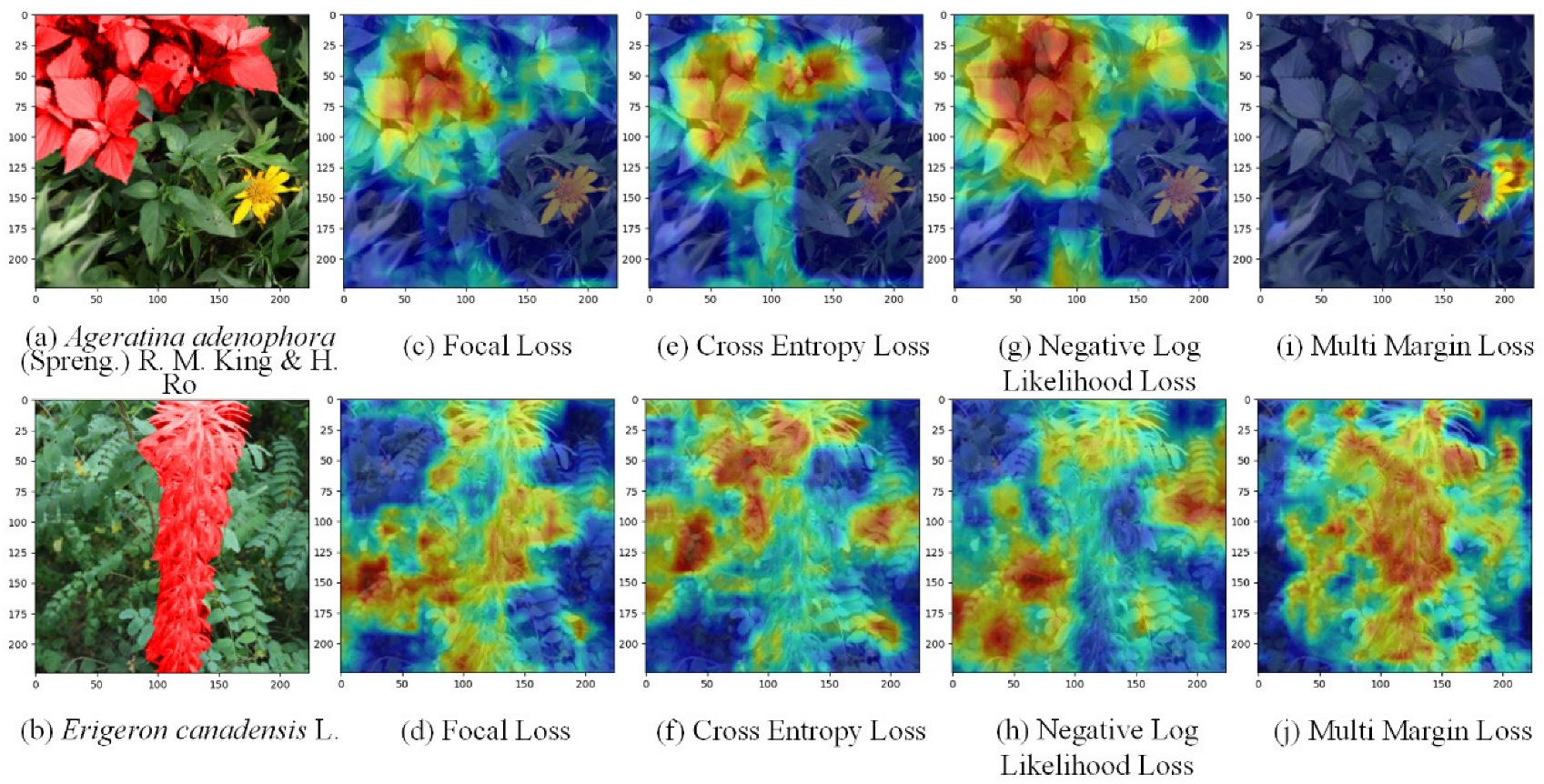 Agronomy 14 00333 g010