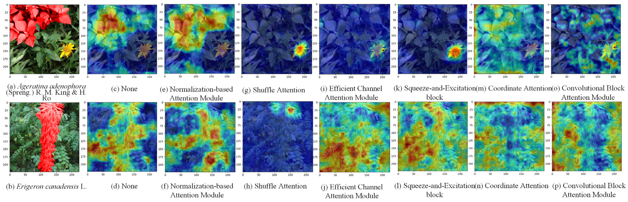 Agronomy 14 00333 g012