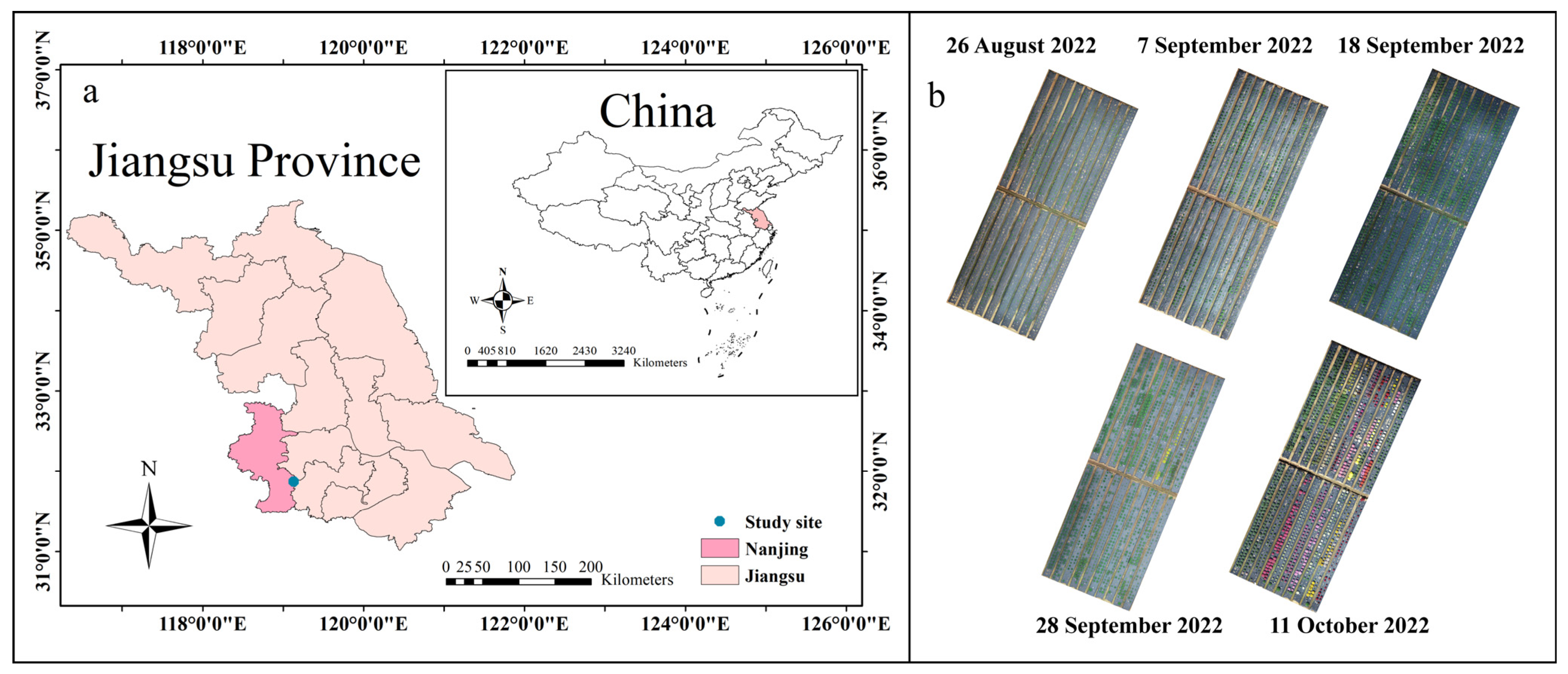 Agronomy 14 00337 g001