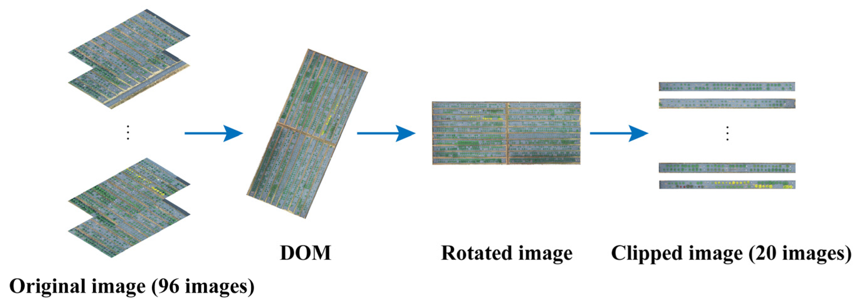 Agronomy 14 00337 g002