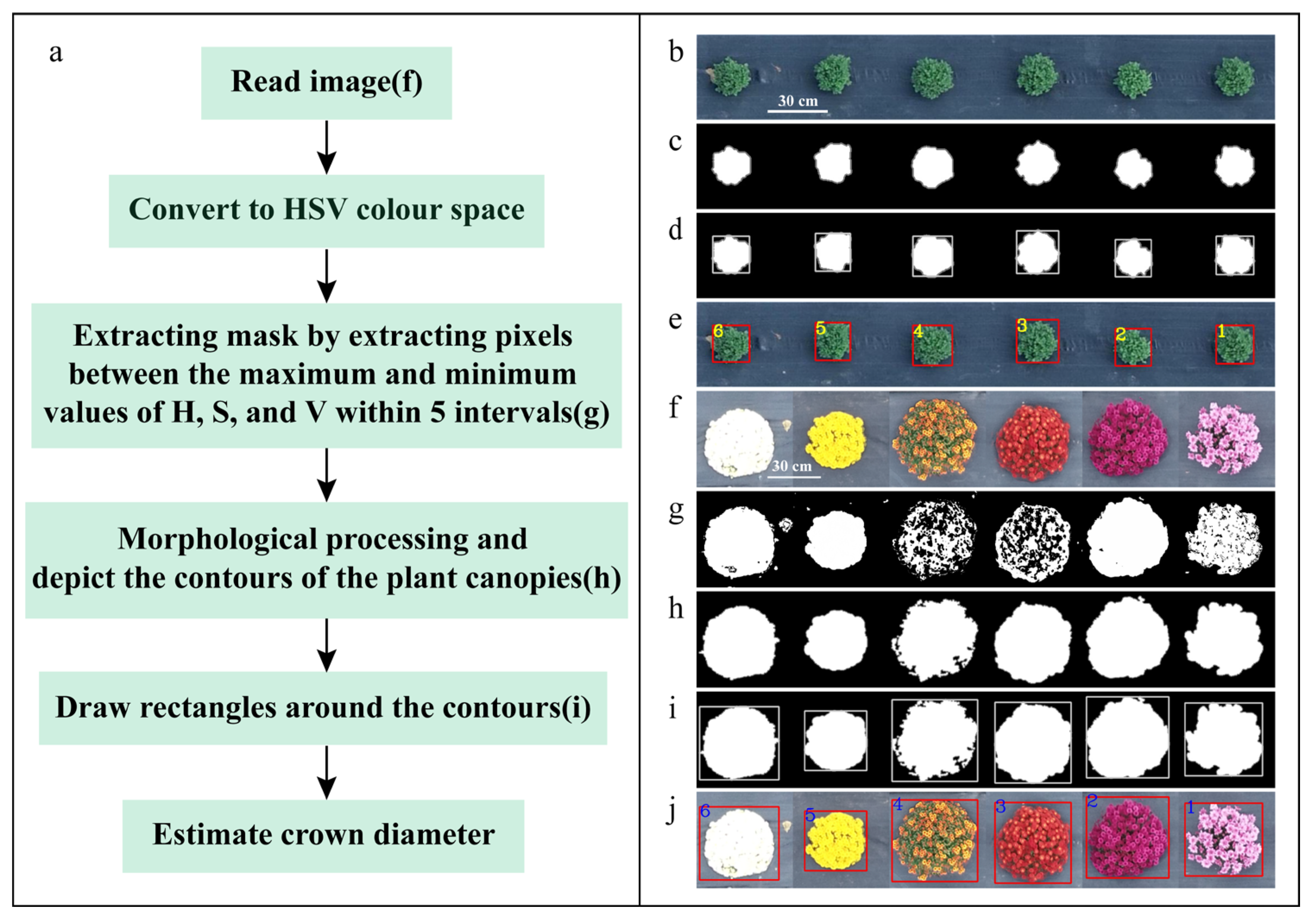 Agronomy 14 00337 g004