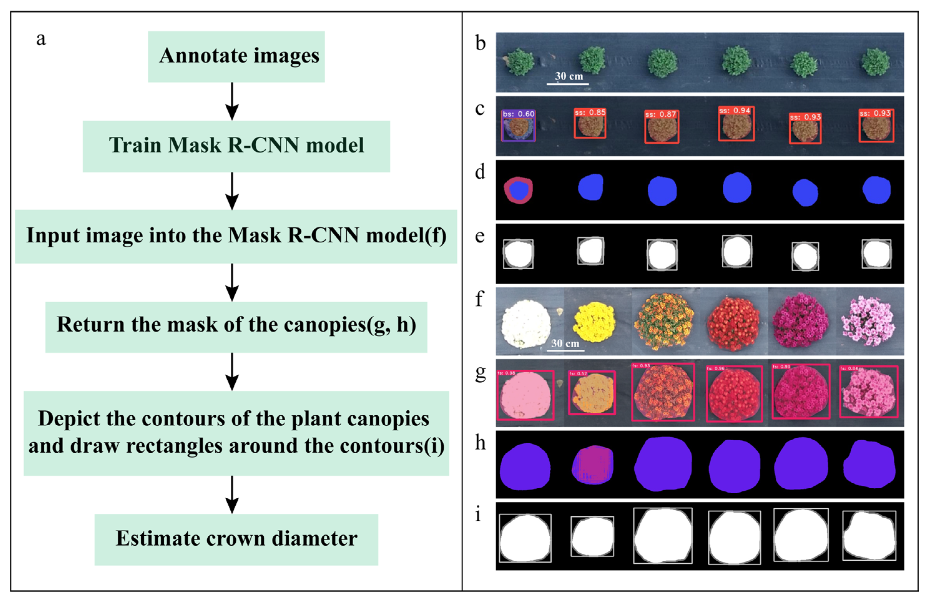 Agronomy 14 00337 g005