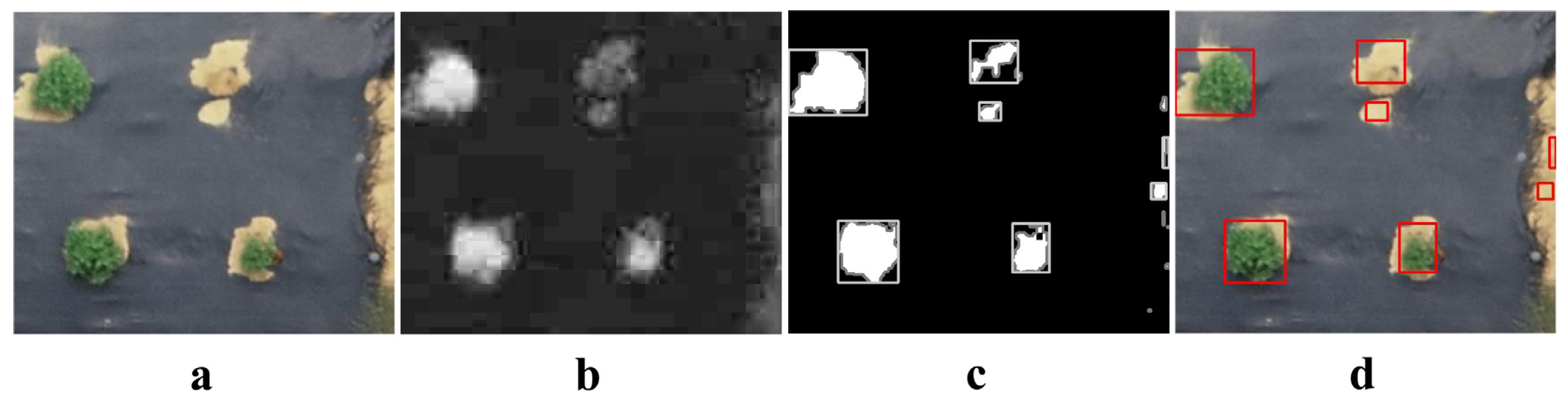 Agronomy 14 00337 g011