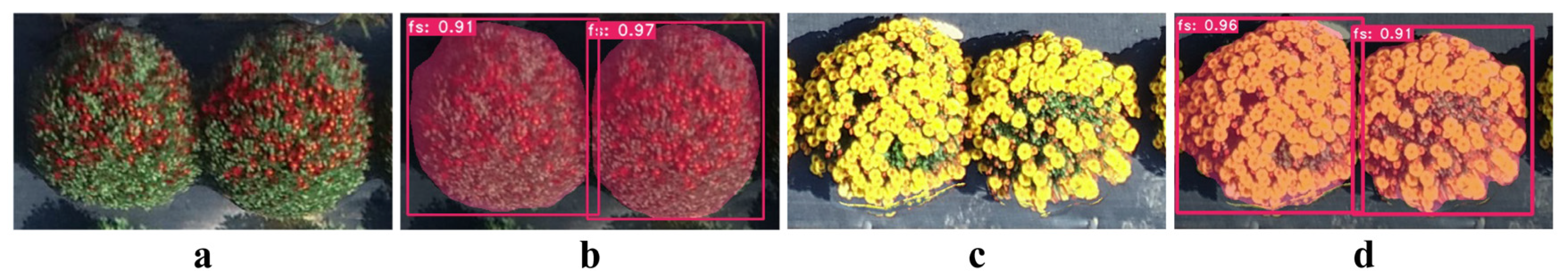 Agronomy 14 00337 g012