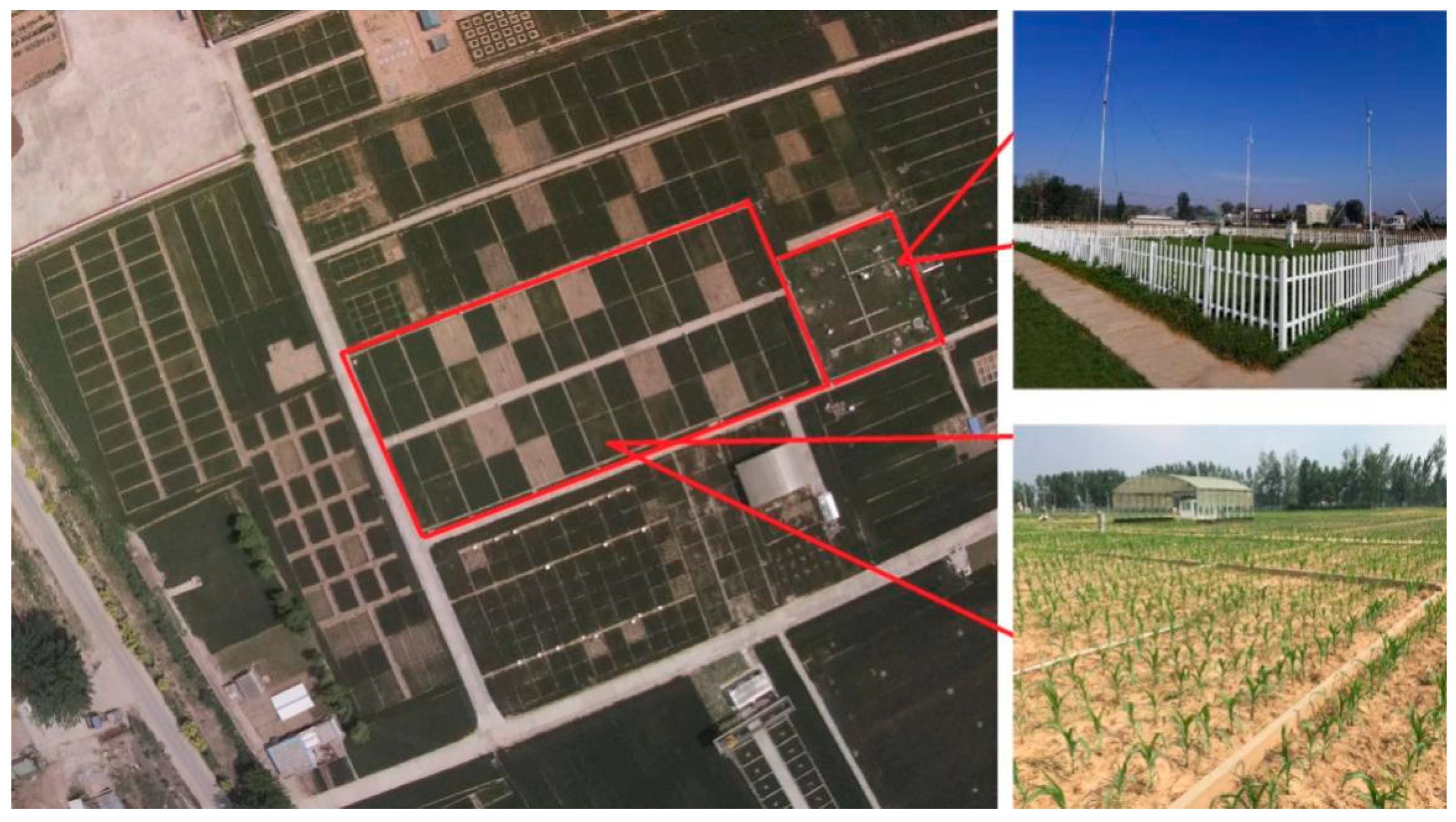 Agronomy 14 00354 g001