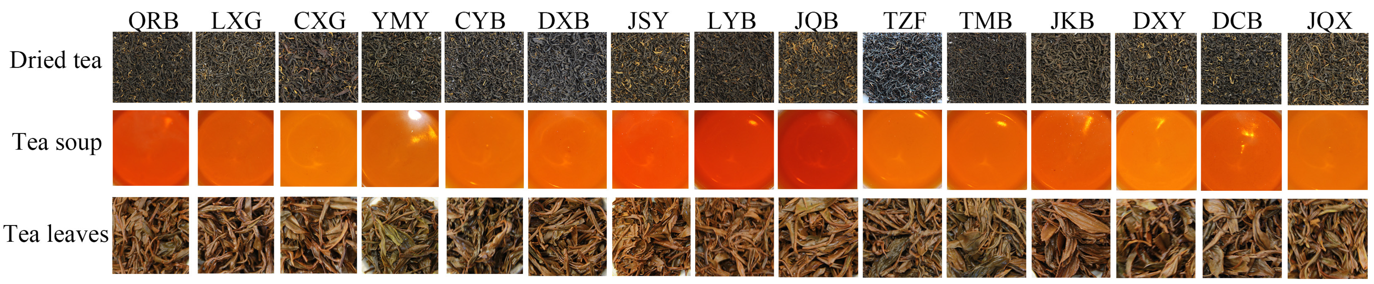 Agronomy 14 00360 g002