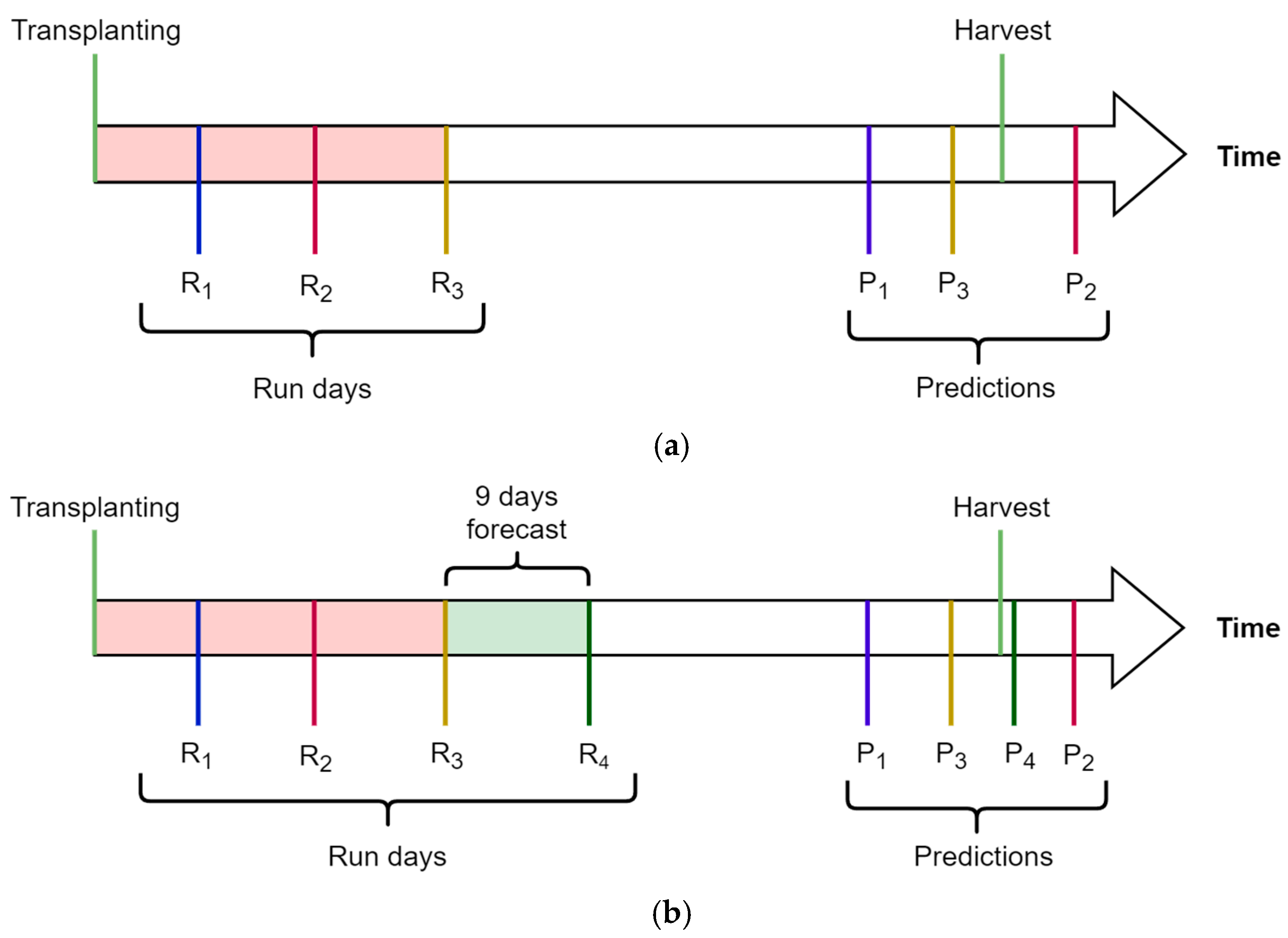Agronomy 14 00361 g004