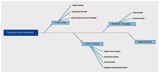 Deep Learning-Based Weed-Crop