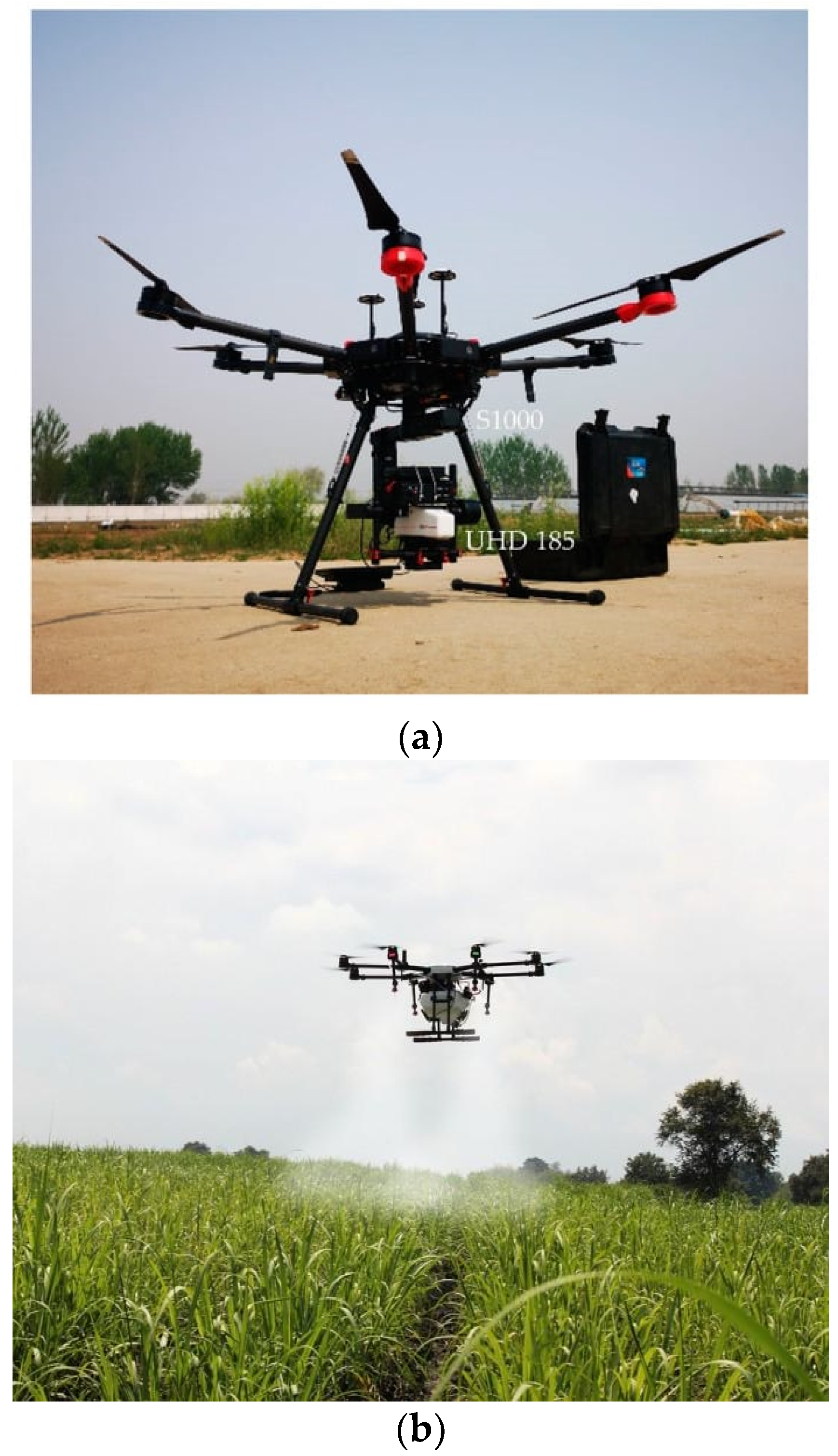 Agronomy 14 00363 g006