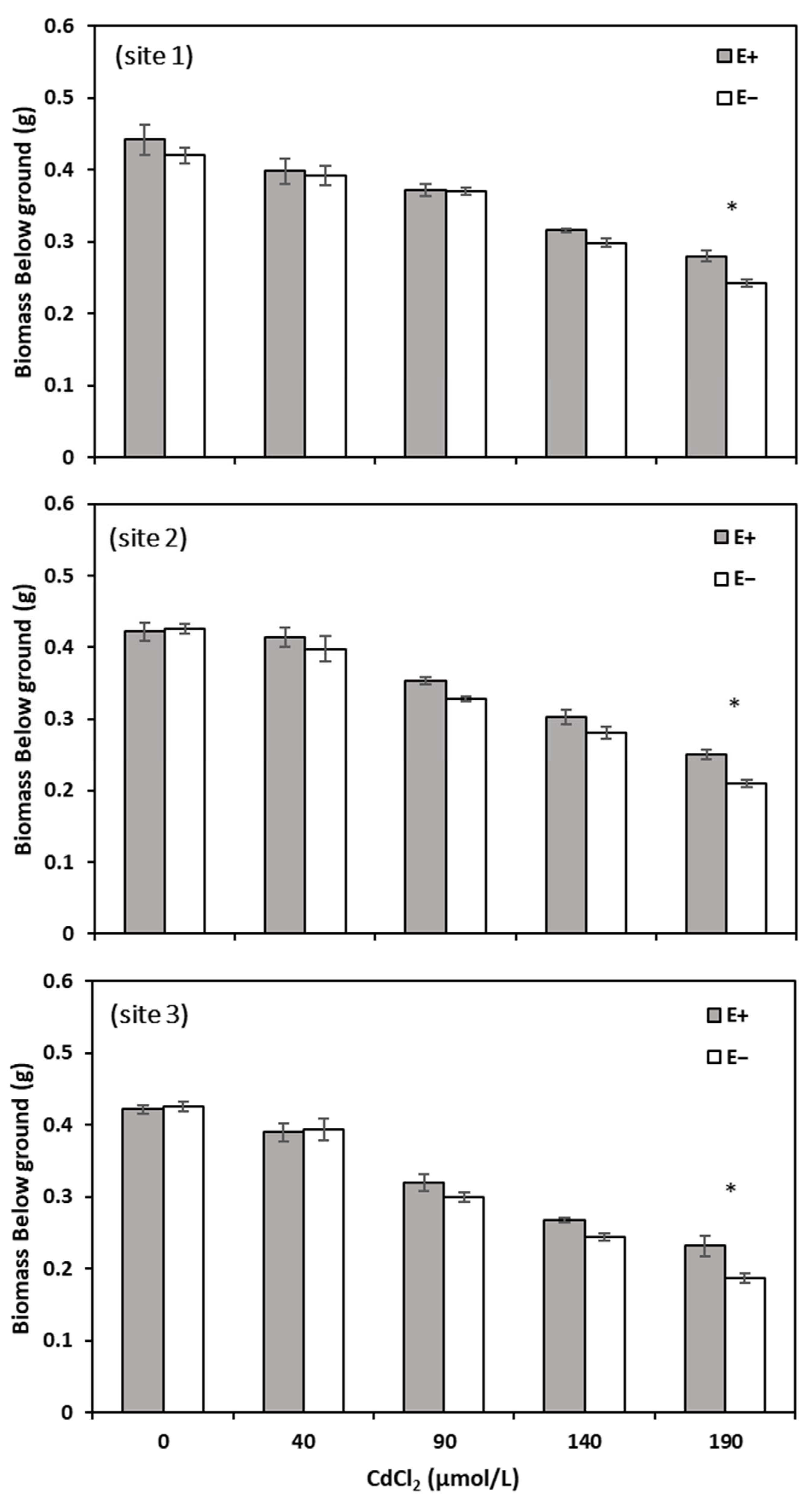 Agronomy 14 00365 g004