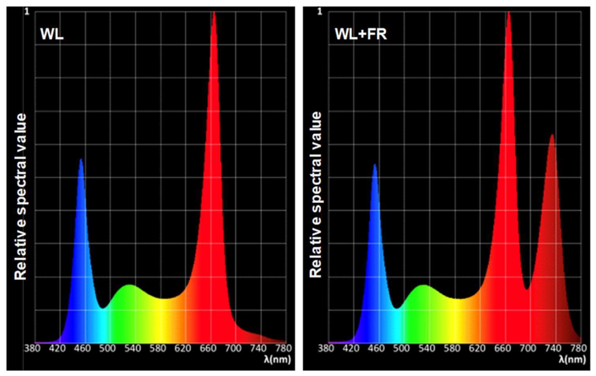 Agronomy 14 00366 g001