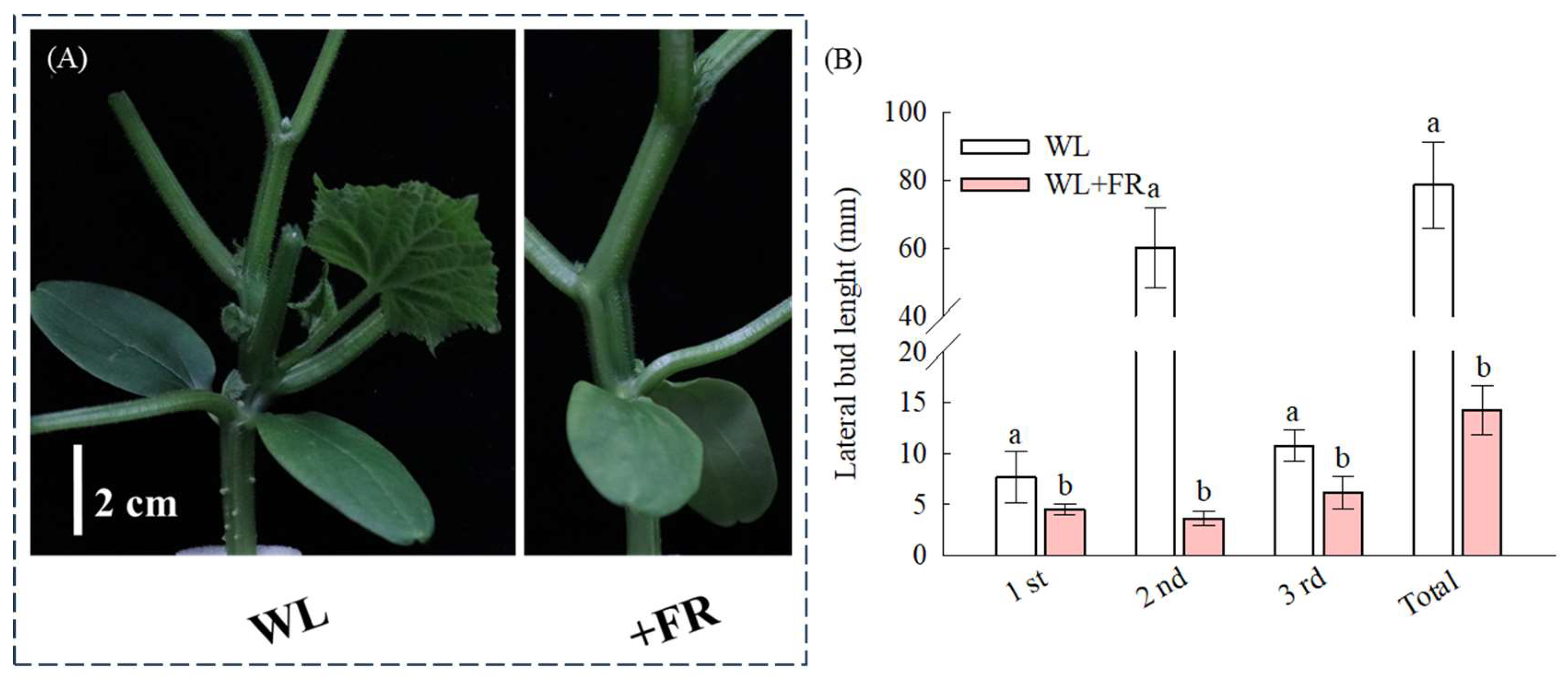 Agronomy 14 00366 g002