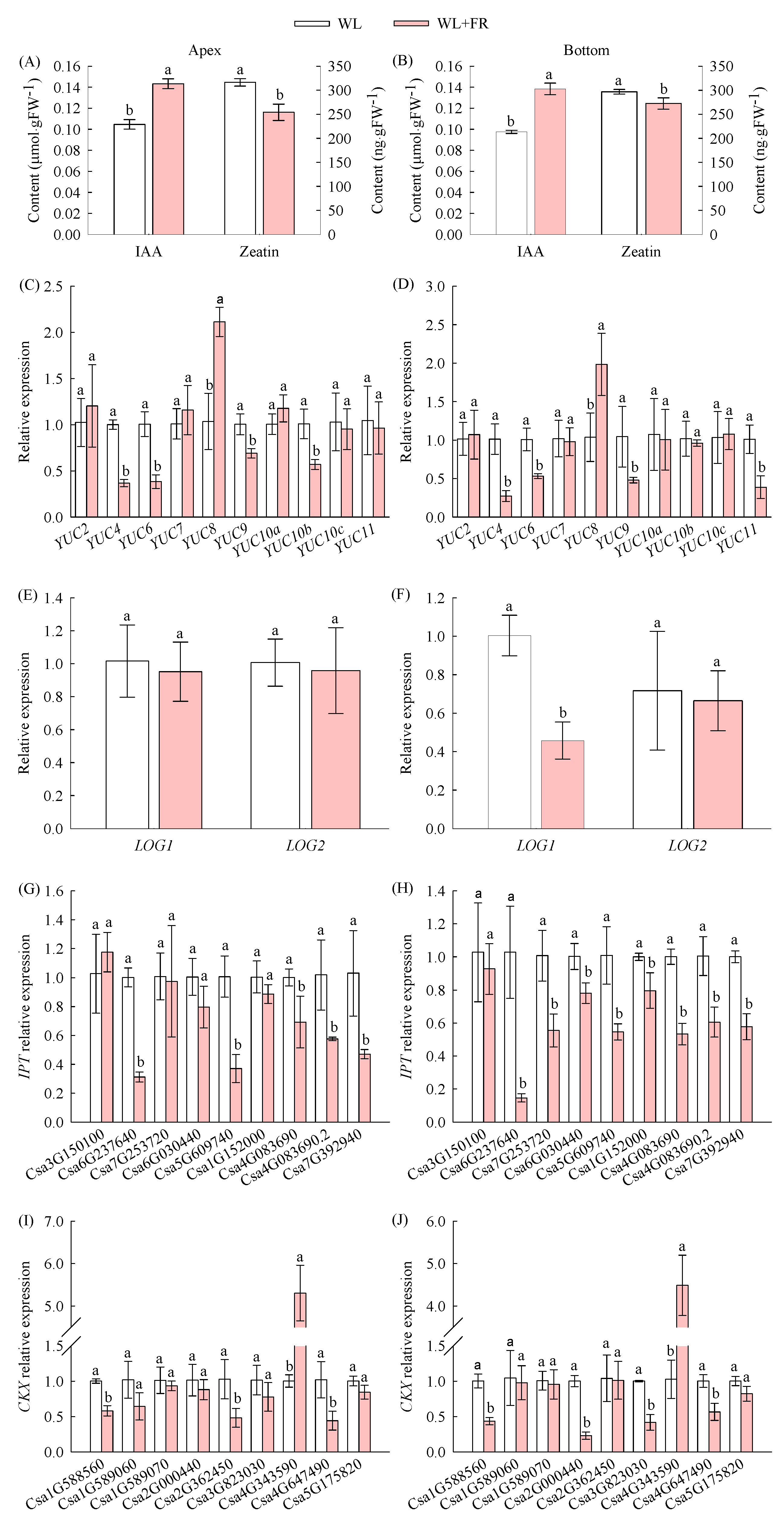 Agronomy 14 00366 g003