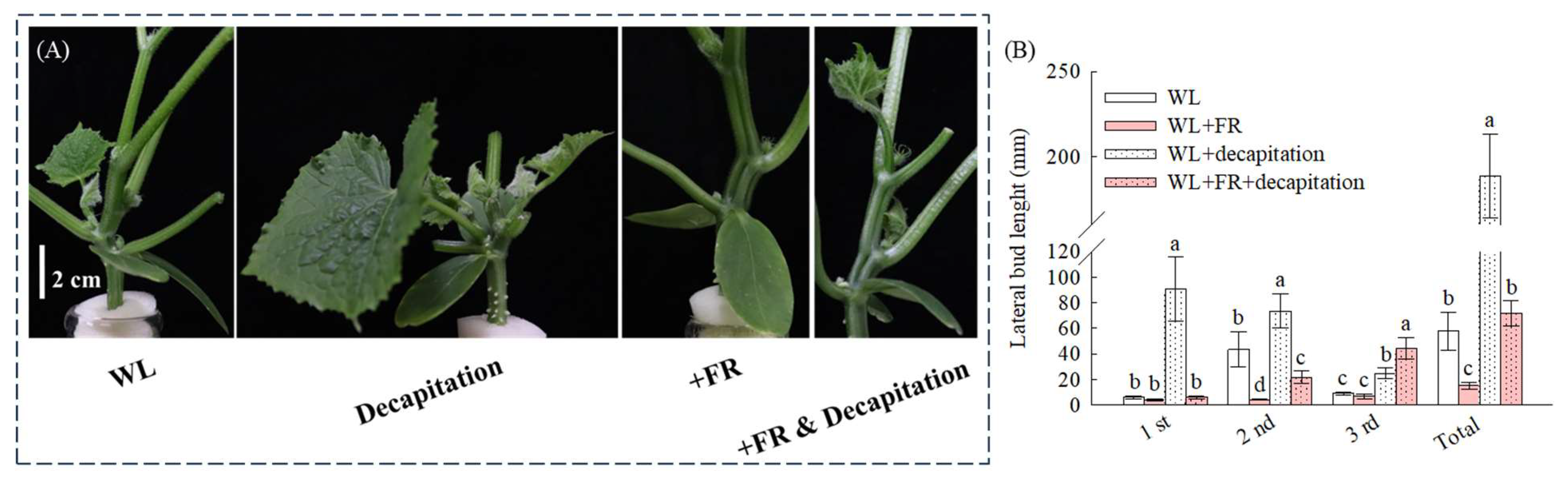 Agronomy 14 00366 g004