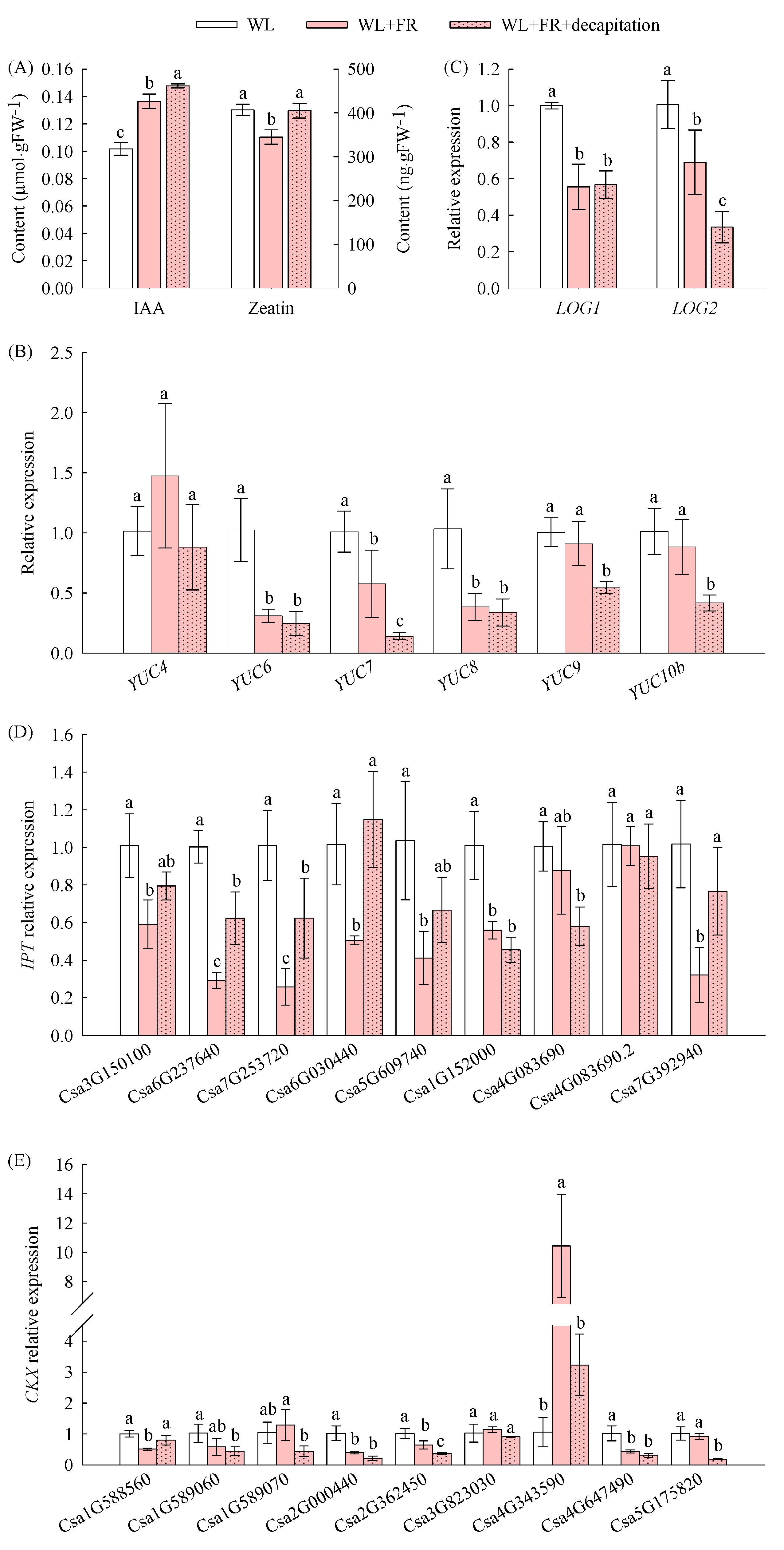 Agronomy 14 00366 g005