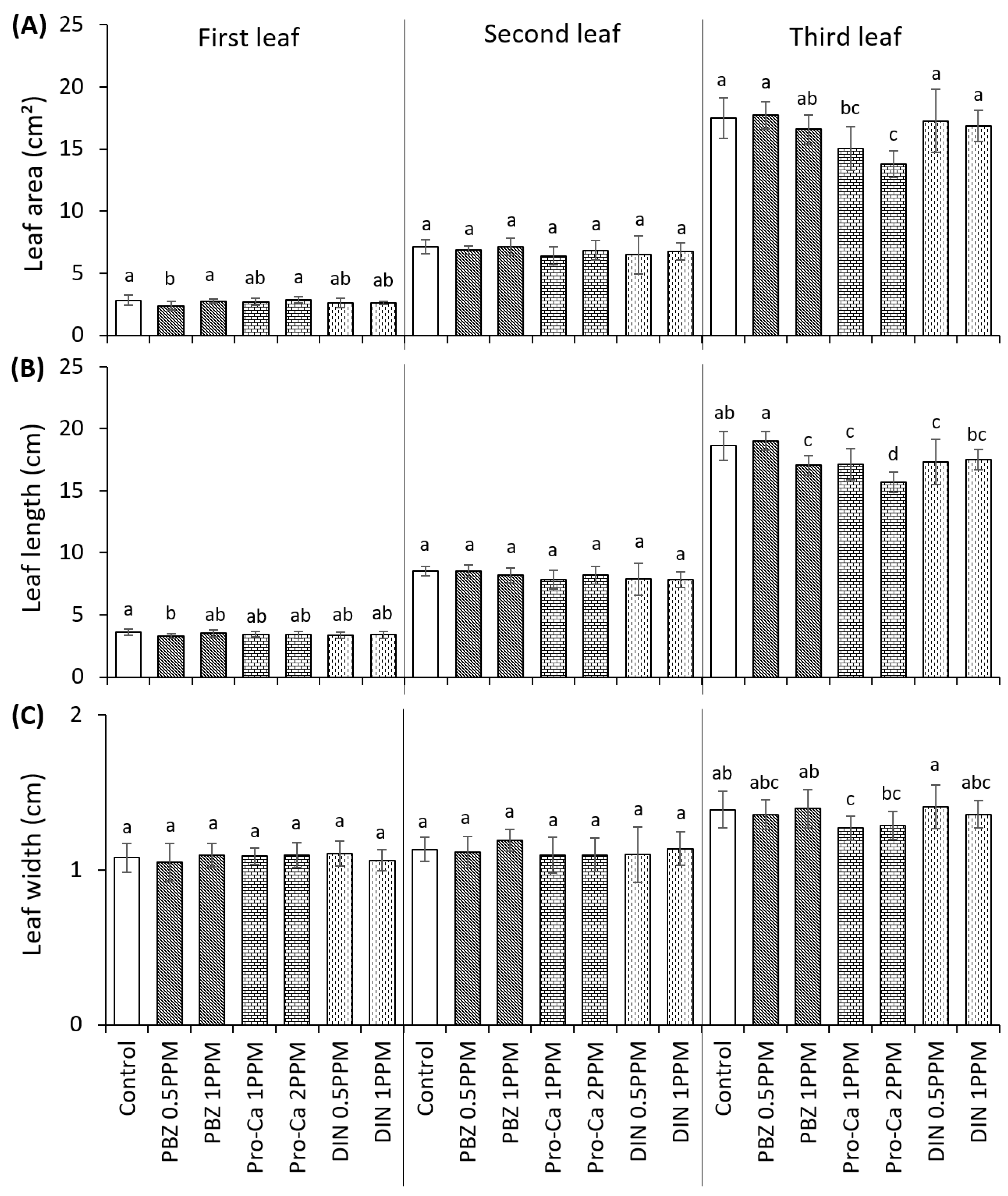 Agronomy 14 00371 g002